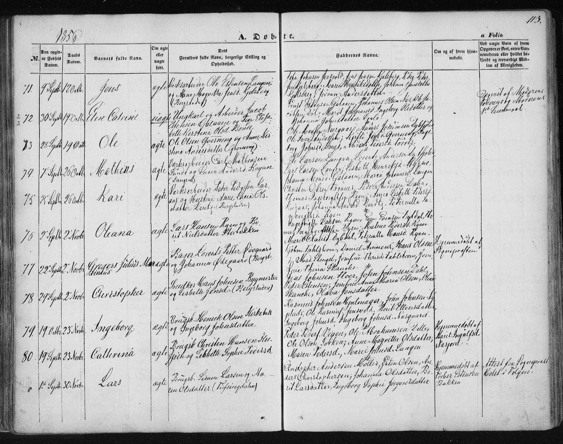 Ministerialprotokoller, klokkerbøker og fødselsregistre - Sør-Trøndelag, SAT/A-1456/681/L0931: Ministerialbok nr. 681A09, 1845-1859, s. 113