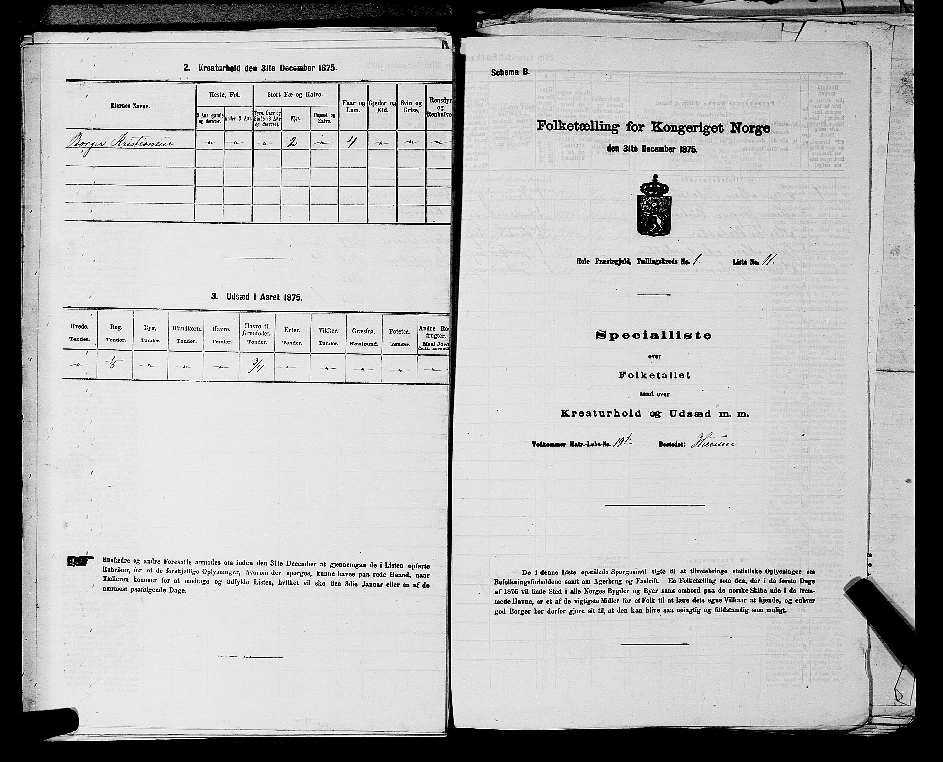 SAKO, Folketelling 1875 for 0612P Hole prestegjeld, 1875, s. 274