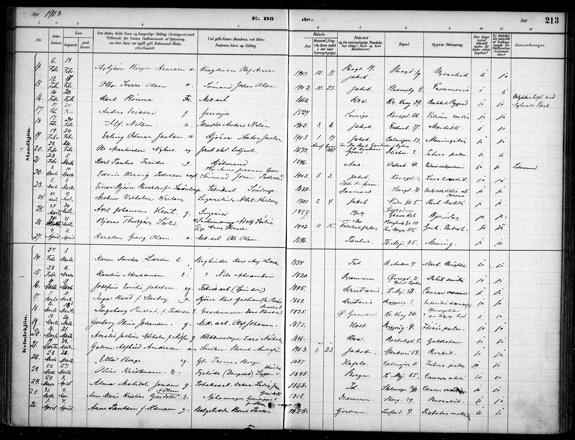 Jakob prestekontor Kirkebøker, AV/SAO-A-10850/F/Fa/L0007: Ministerialbok nr. 7, 1880-1905, s. 213