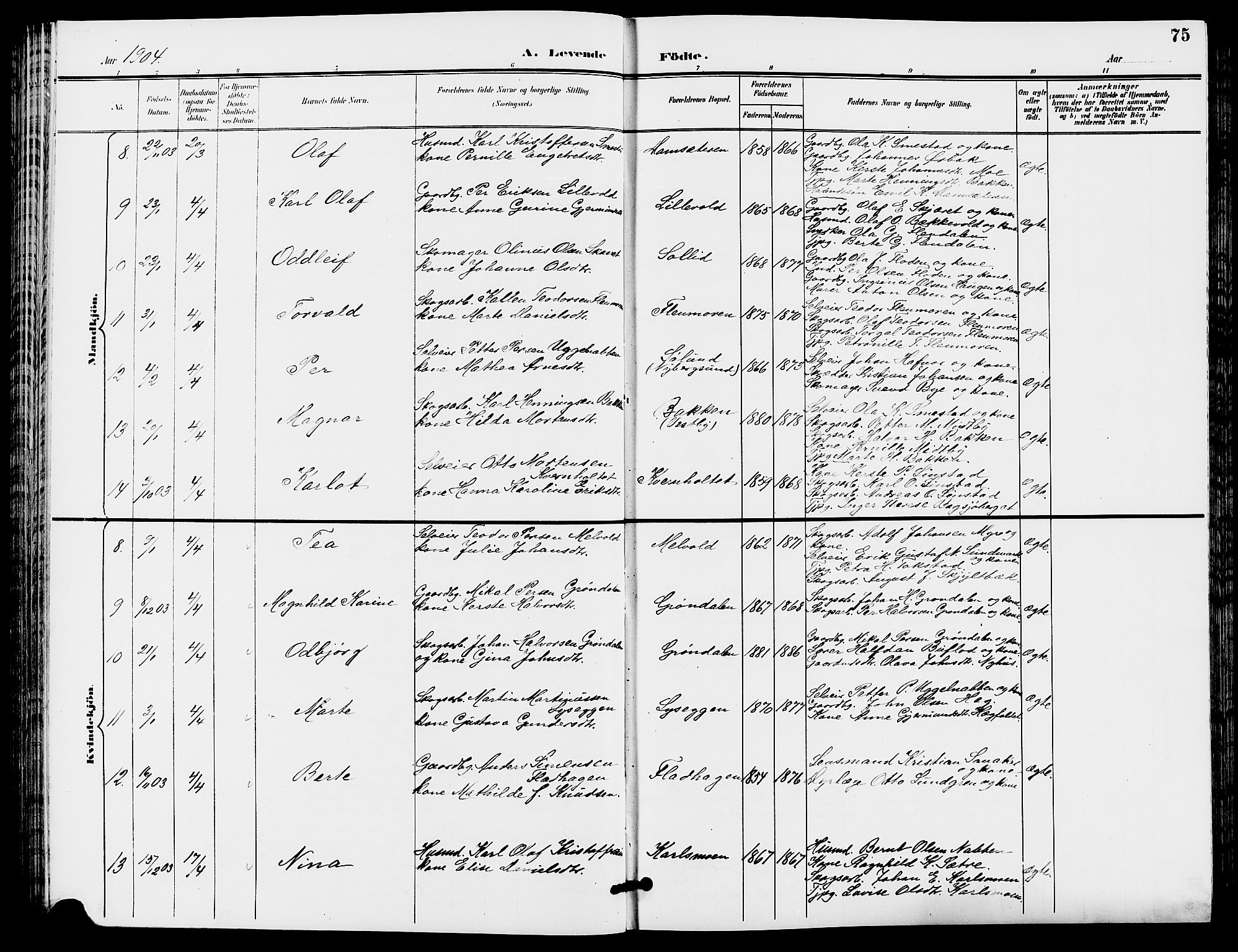 Trysil prestekontor, SAH/PREST-046/H/Ha/Hab/L0006: Klokkerbok nr. 6, 1896-1912, s. 75