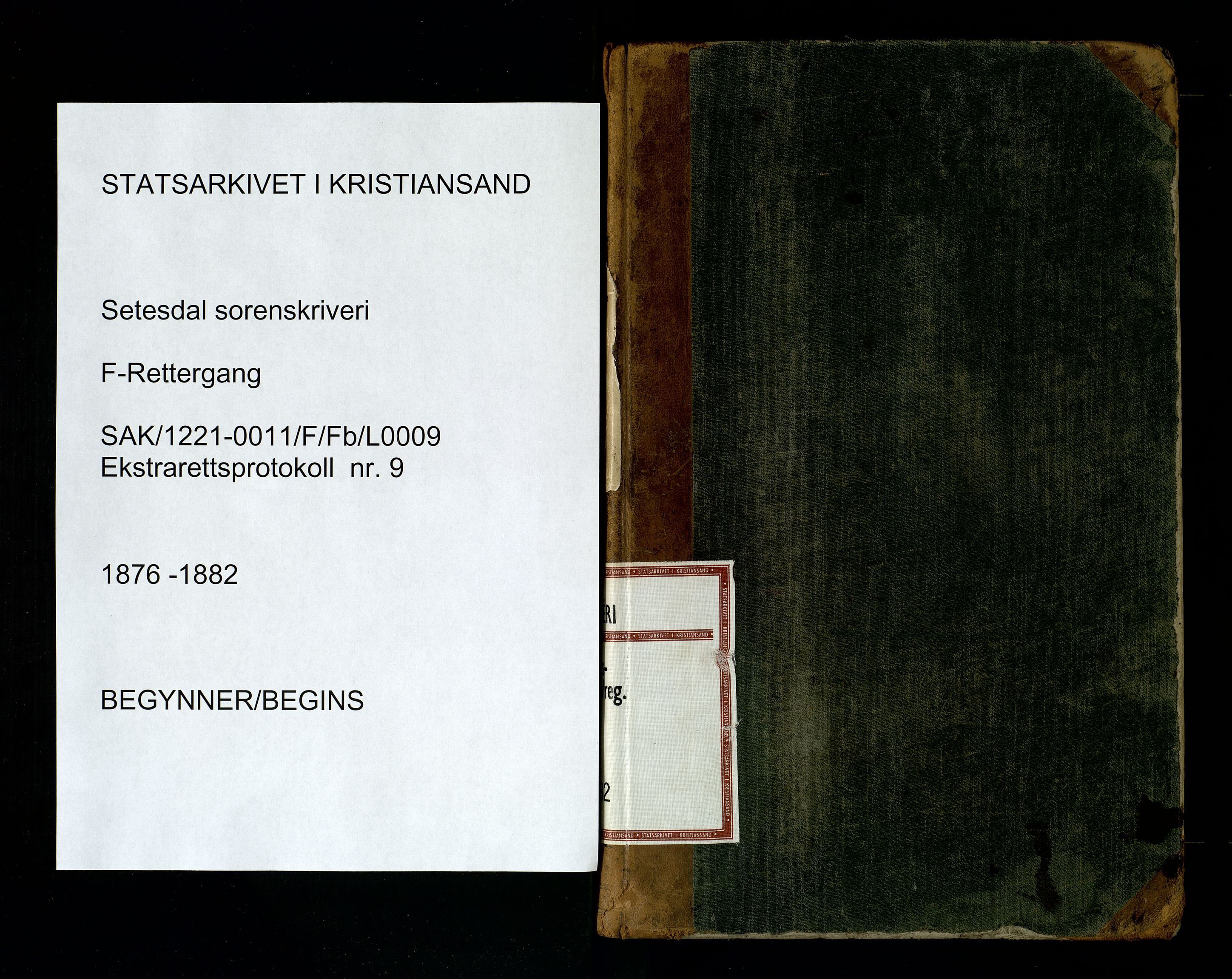 Setesdal sorenskriveri, SAK/1221-0011/F/Fb/L0009: Ekstrarettsprotokoll nr 9, 1876-1882