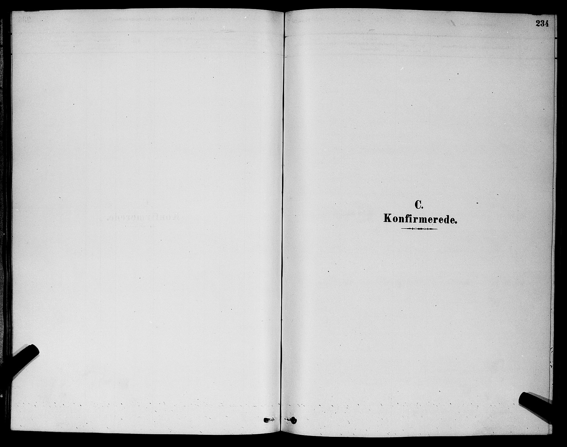 Barbu sokneprestkontor, SAK/1111-0003/F/Fb/L0001: Klokkerbok nr. B 1, 1878-1890, s. 234