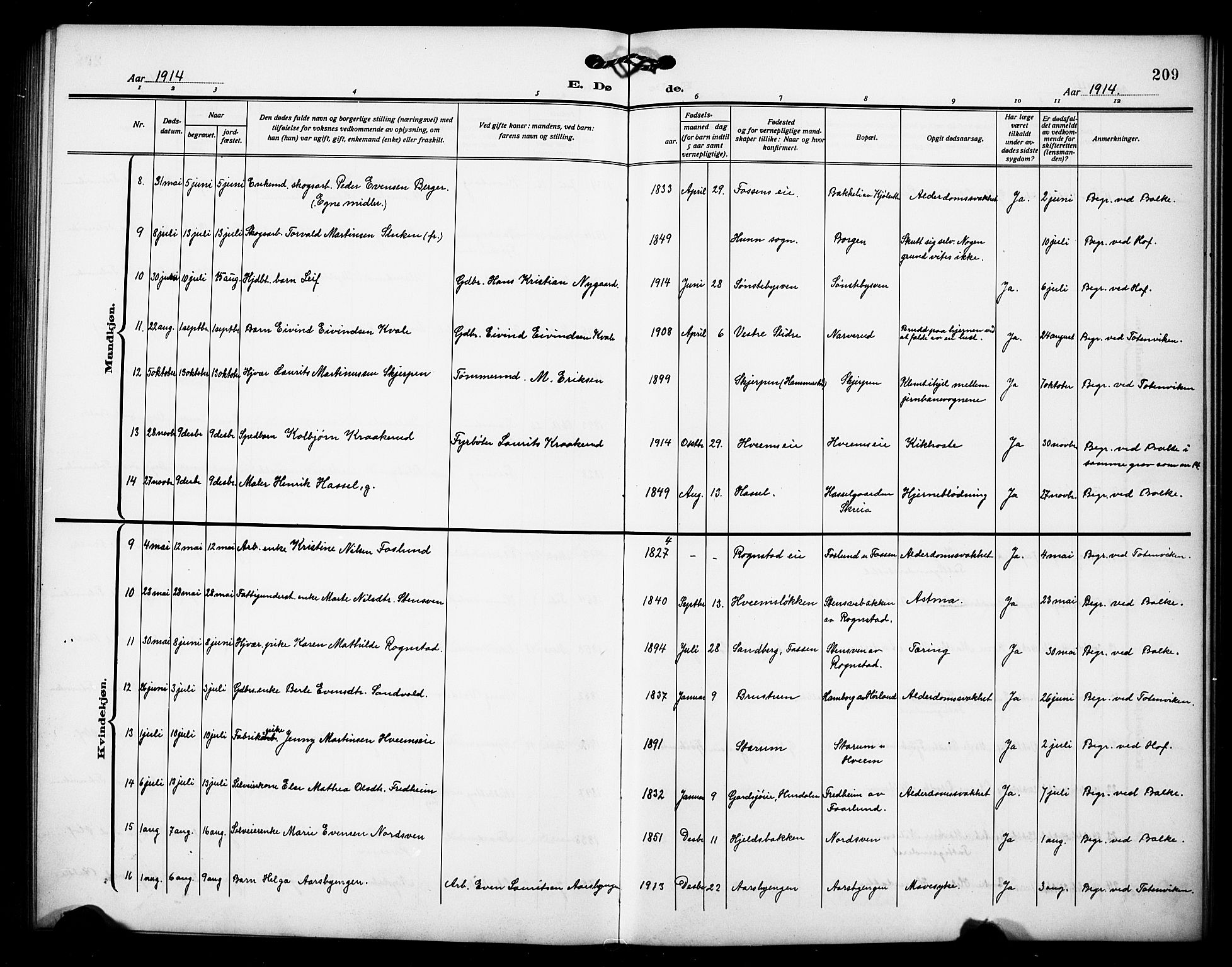 Østre Toten prestekontor, AV/SAH-PREST-104/H/Ha/Hab/L0008: Klokkerbok nr. 8, 1913-1929, s. 209