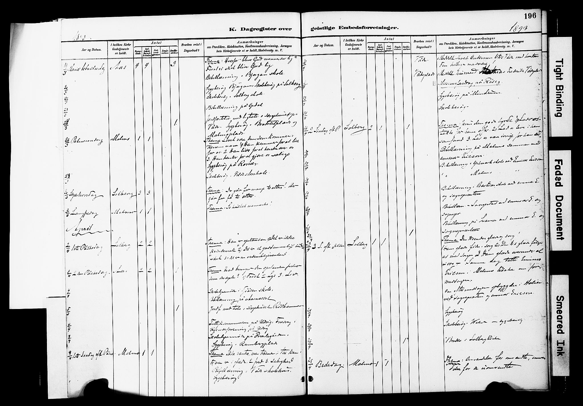 Ministerialprotokoller, klokkerbøker og fødselsregistre - Nord-Trøndelag, SAT/A-1458/741/L0396: Ministerialbok nr. 741A10, 1889-1901, s. 196