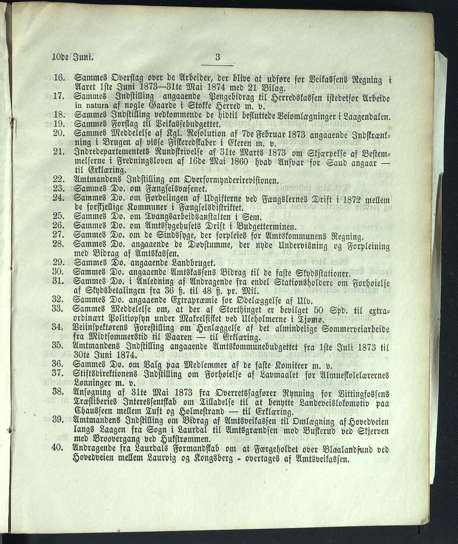 Vestfold fylkeskommune. Fylkestinget, VEMU/A-1315/A/Ab/Abb/L0019: Fylkestingsforhandlinger, 1873