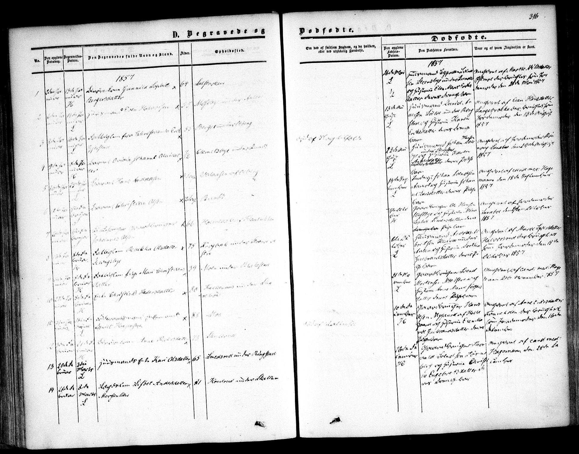 Høland prestekontor Kirkebøker, SAO/A-10346a/F/Fa/L0010: Ministerialbok nr. I 10, 1854-1861, s. 316