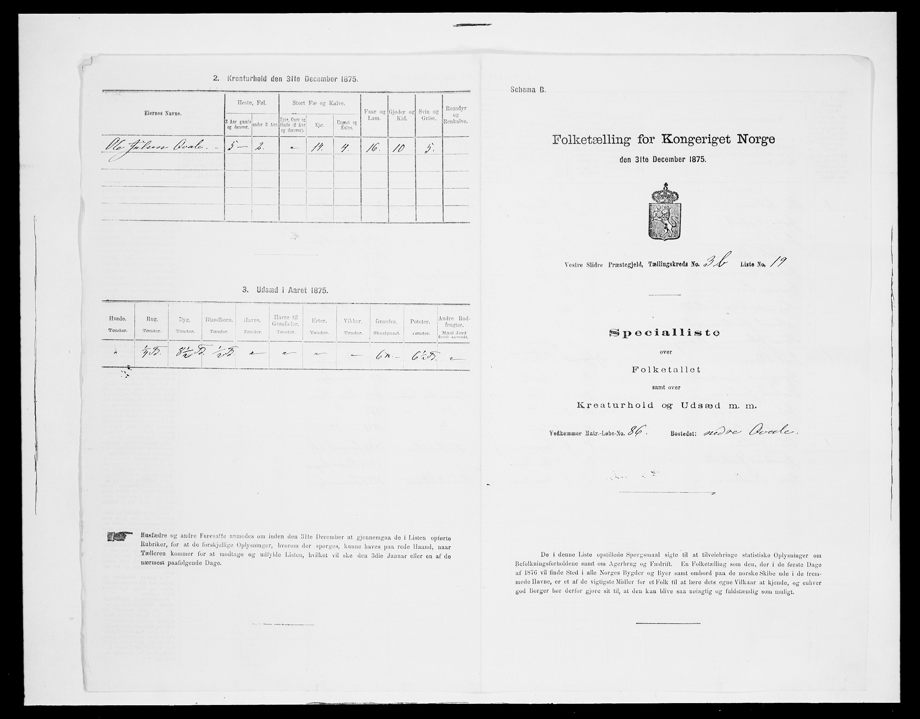 SAH, Folketelling 1875 for 0543P Vestre Slidre prestegjeld, 1875, s. 358