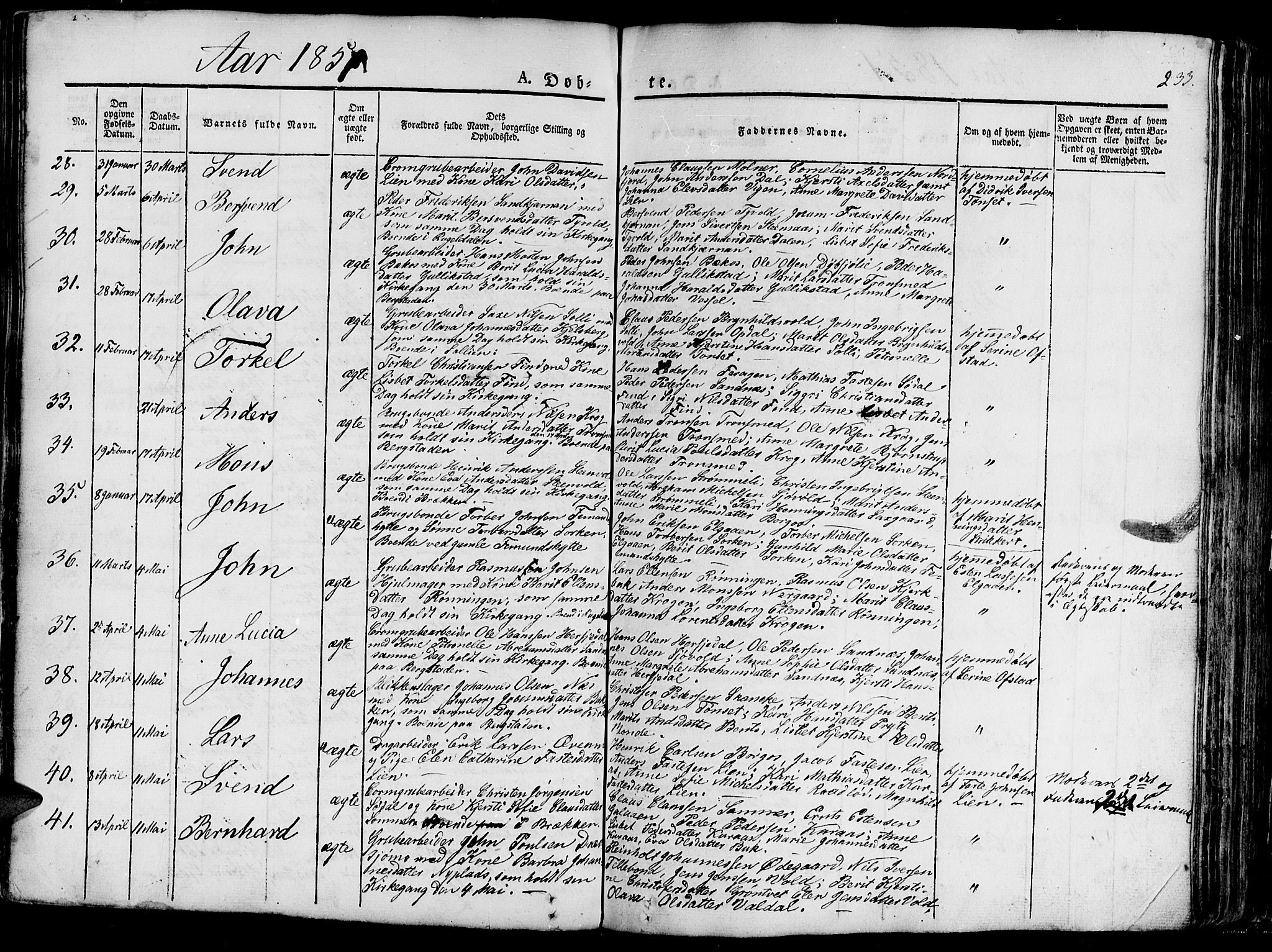 Ministerialprotokoller, klokkerbøker og fødselsregistre - Sør-Trøndelag, SAT/A-1456/681/L0938: Klokkerbok nr. 681C02, 1829-1879, s. 233
