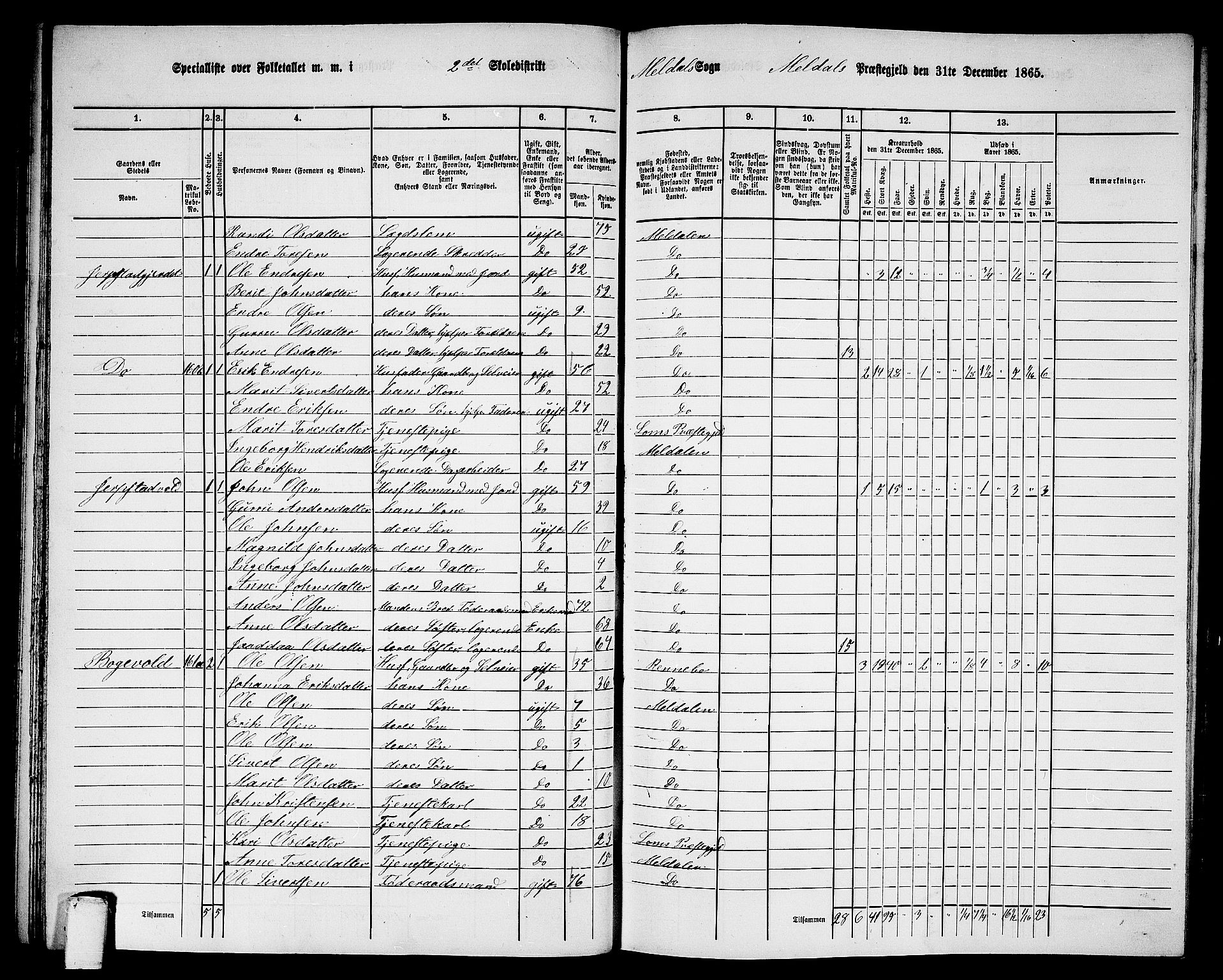 RA, Folketelling 1865 for 1636P Meldal prestegjeld, 1865, s. 55