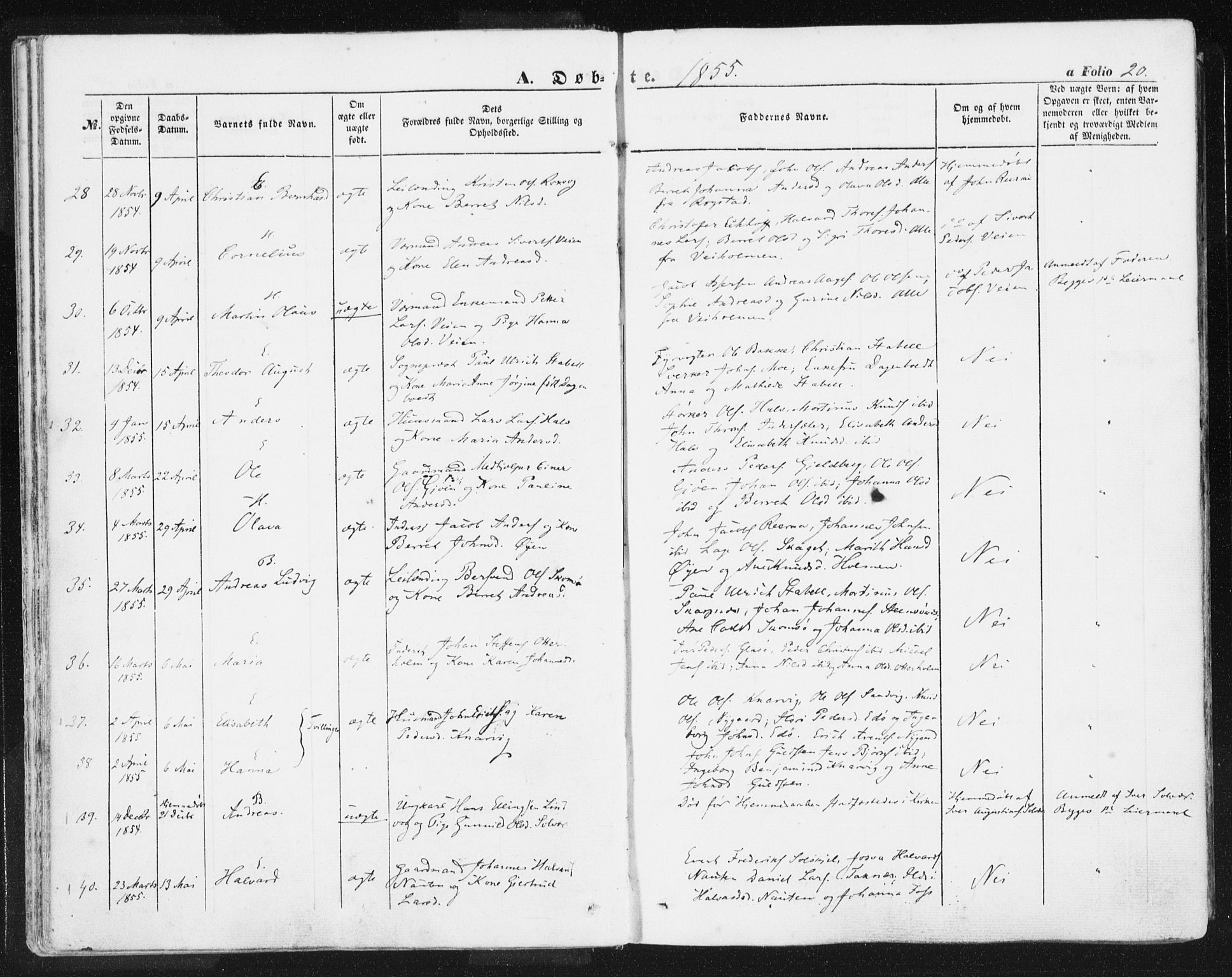 Ministerialprotokoller, klokkerbøker og fødselsregistre - Møre og Romsdal, AV/SAT-A-1454/581/L0937: Ministerialbok nr. 581A05, 1853-1872, s. 20