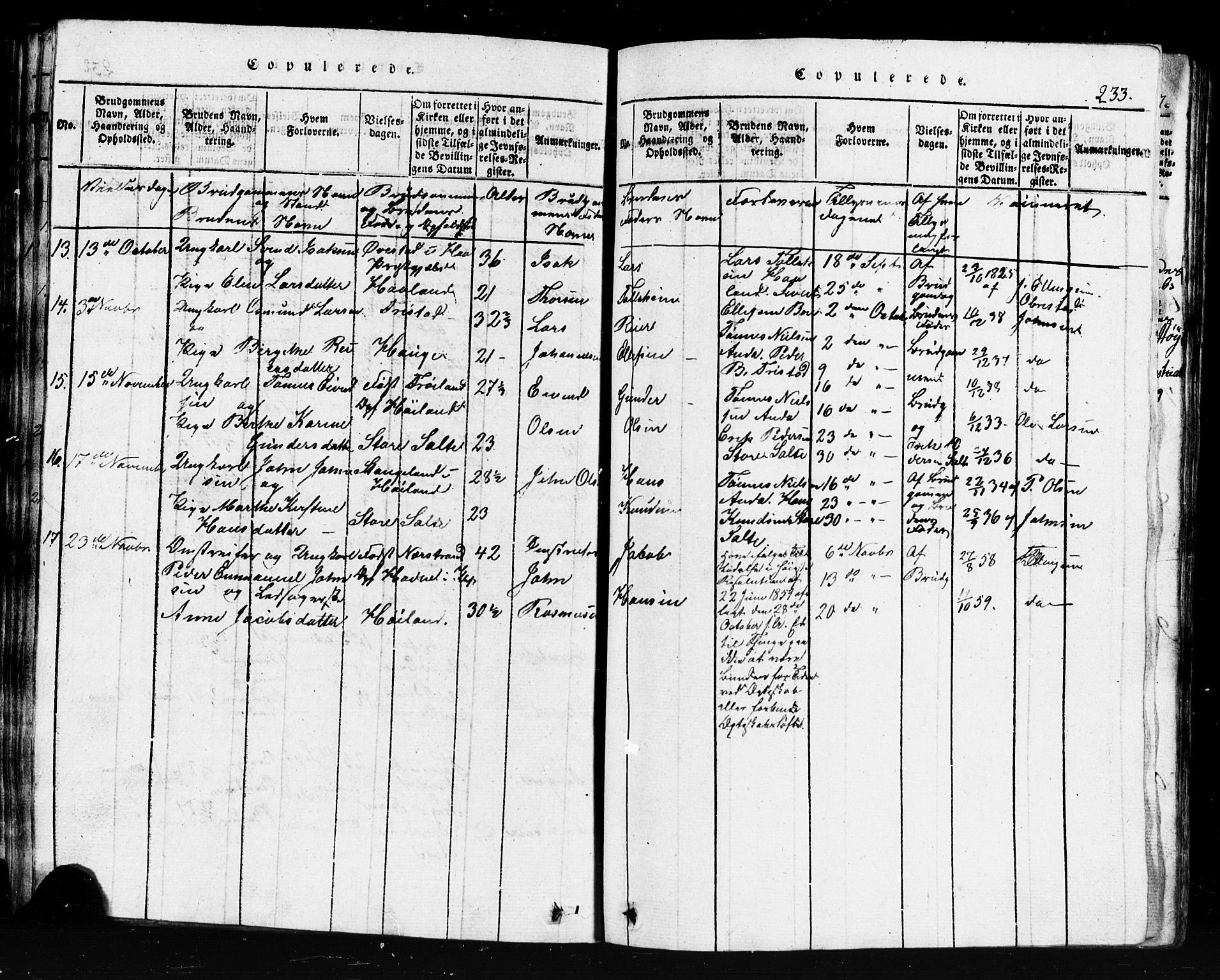 Klepp sokneprestkontor, SAST/A-101803/001/3/30BB/L0001: Klokkerbok nr.  B 1, 1816-1859, s. 233