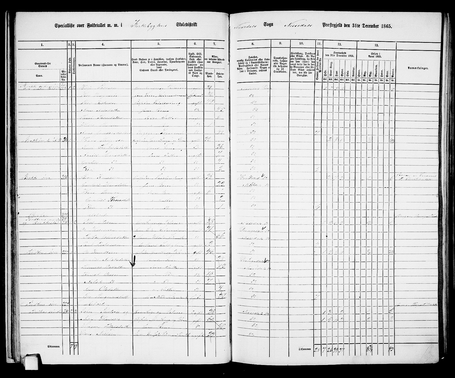 RA, Folketelling 1865 for 0830P Nissedal prestegjeld, 1865, s. 27