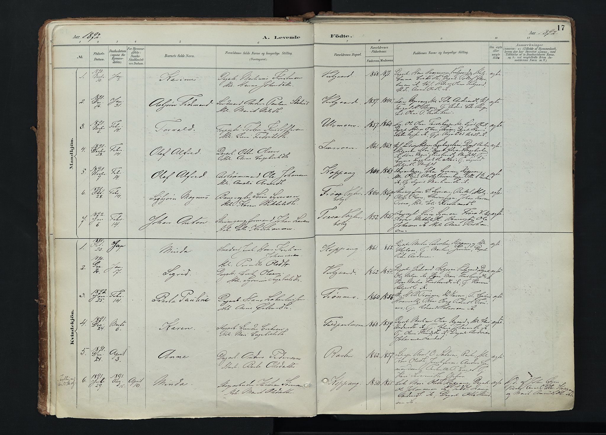 Stor-Elvdal prestekontor, SAH/PREST-052/H/Ha/Haa/L0004: Ministerialbok nr. 4, 1890-1922, s. 17