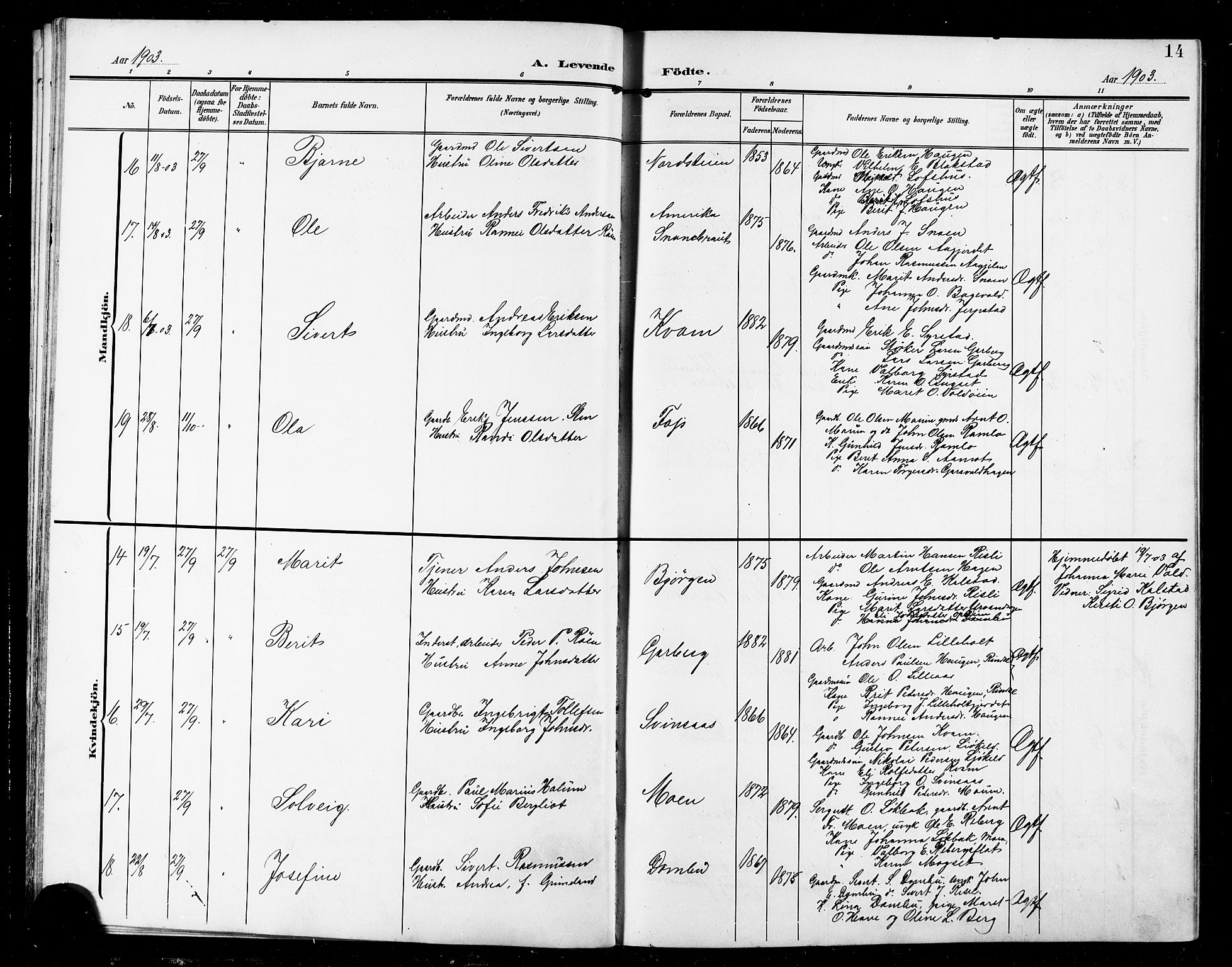 Ministerialprotokoller, klokkerbøker og fødselsregistre - Sør-Trøndelag, AV/SAT-A-1456/672/L0864: Klokkerbok nr. 672C03, 1902-1914, s. 14