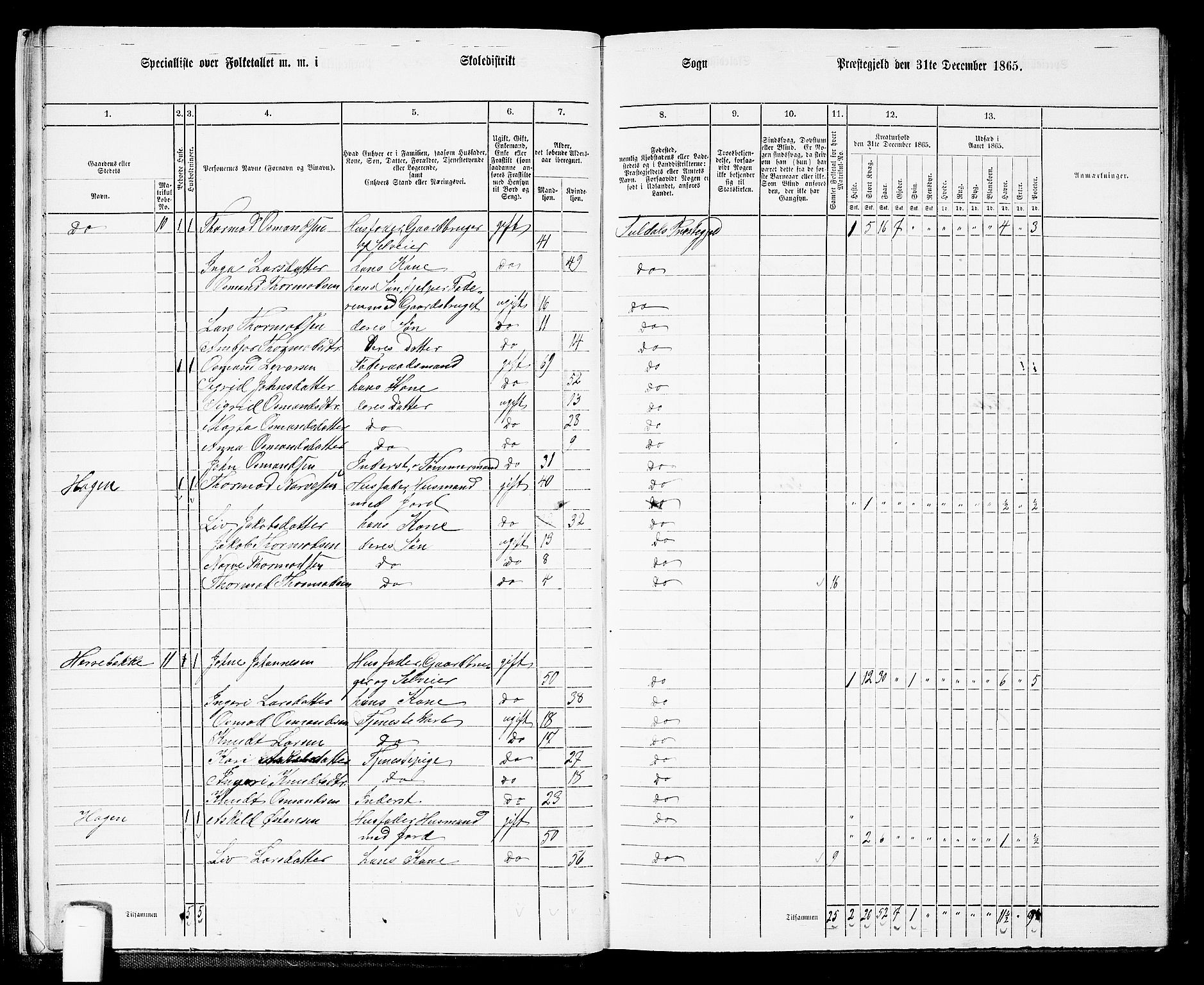 RA, Folketelling 1865 for 1134P Suldal prestegjeld, 1865, s. 16