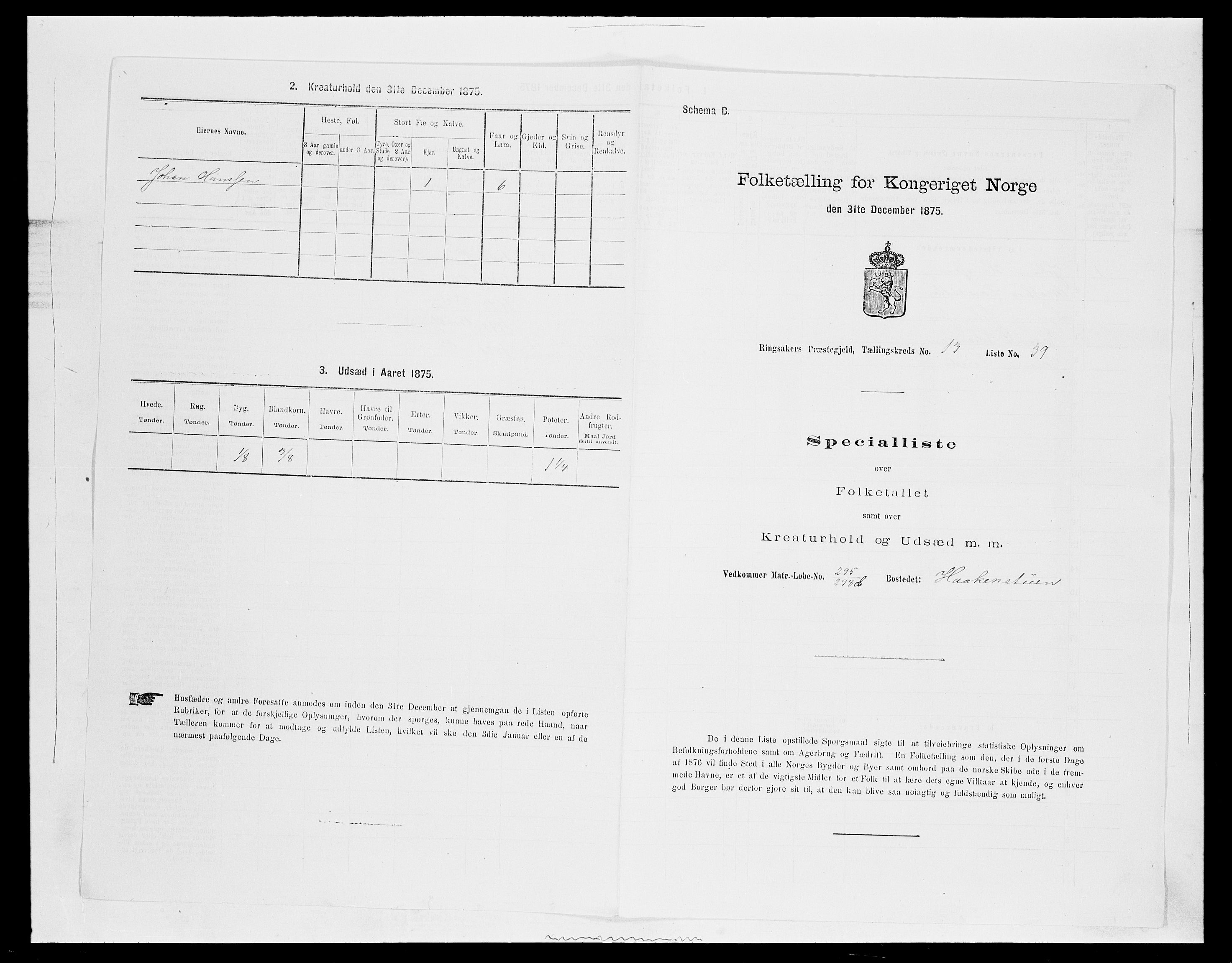 SAH, Folketelling 1875 for 0412P Ringsaker prestegjeld, 1875, s. 2685