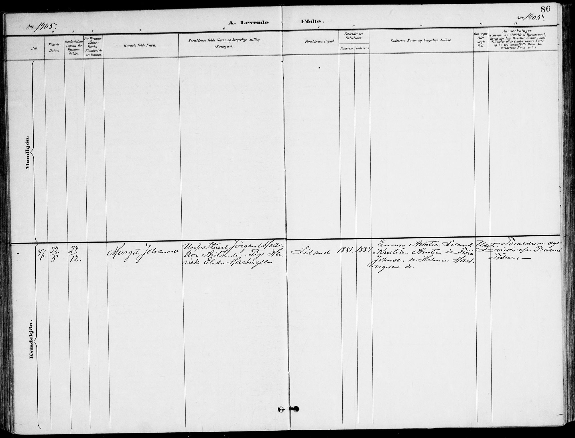 Ministerialprotokoller, klokkerbøker og fødselsregistre - Nordland, AV/SAT-A-1459/895/L1372: Ministerialbok nr. 895A07, 1894-1914, s. 86