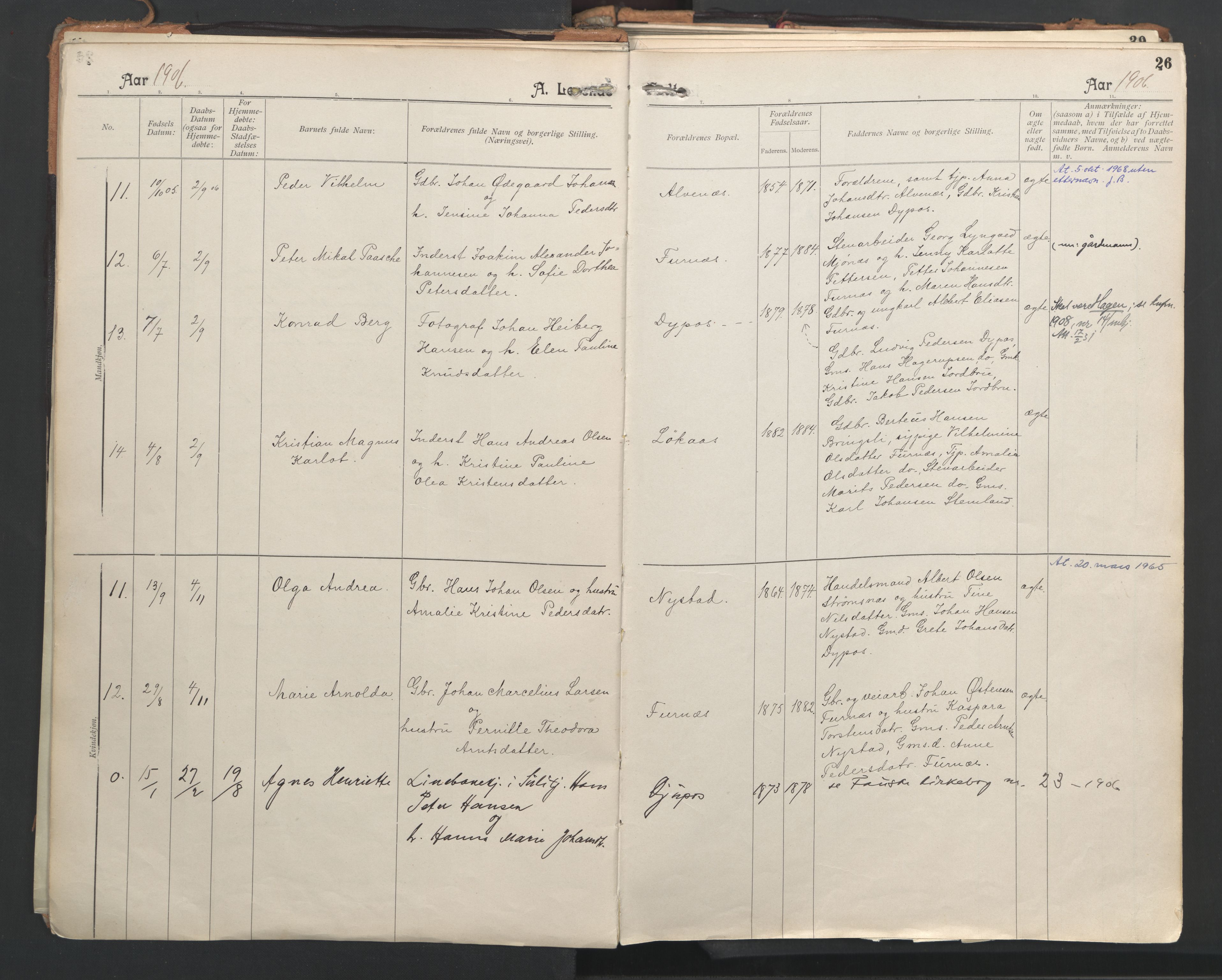 Ministerialprotokoller, klokkerbøker og fødselsregistre - Nordland, AV/SAT-A-1459/851/L0724: Ministerialbok nr. 851A01, 1901-1922, s. 26