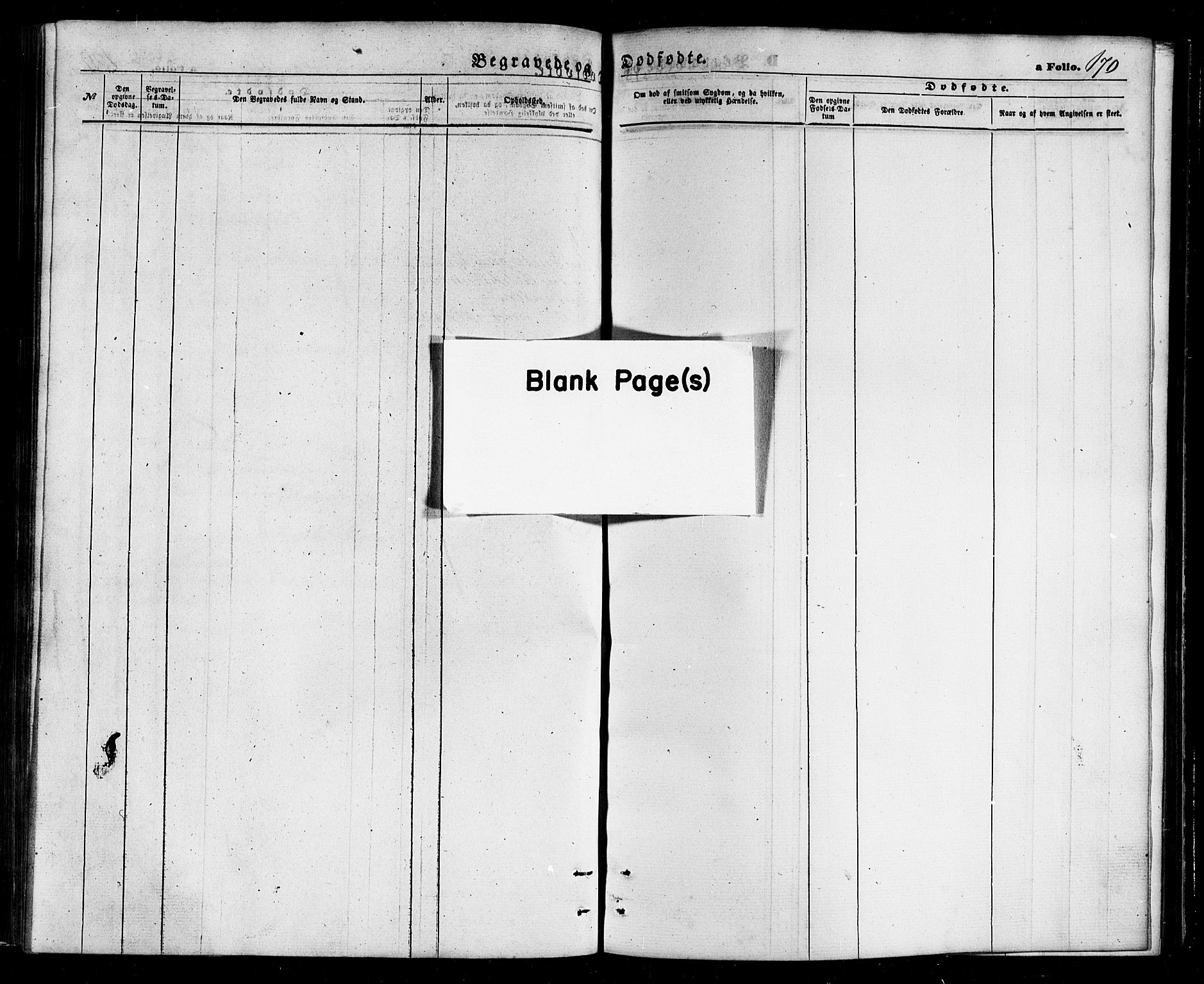 Ministerialprotokoller, klokkerbøker og fødselsregistre - Nordland, SAT/A-1459/803/L0075: Klokkerbok nr. 803C02, 1867-1881, s. 170