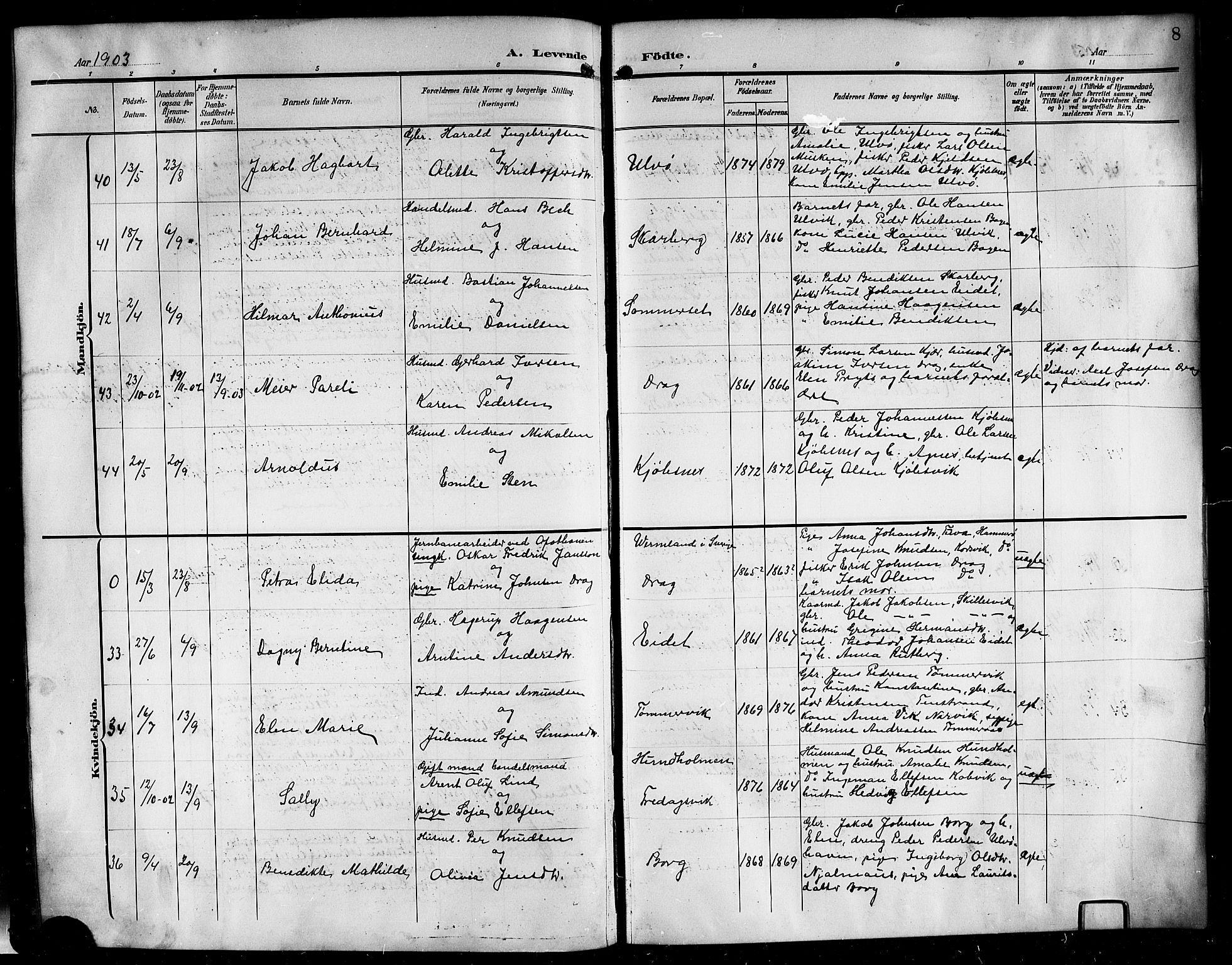 Ministerialprotokoller, klokkerbøker og fødselsregistre - Nordland, AV/SAT-A-1459/861/L0877: Klokkerbok nr. 861C03, 1903-1919, s. 8