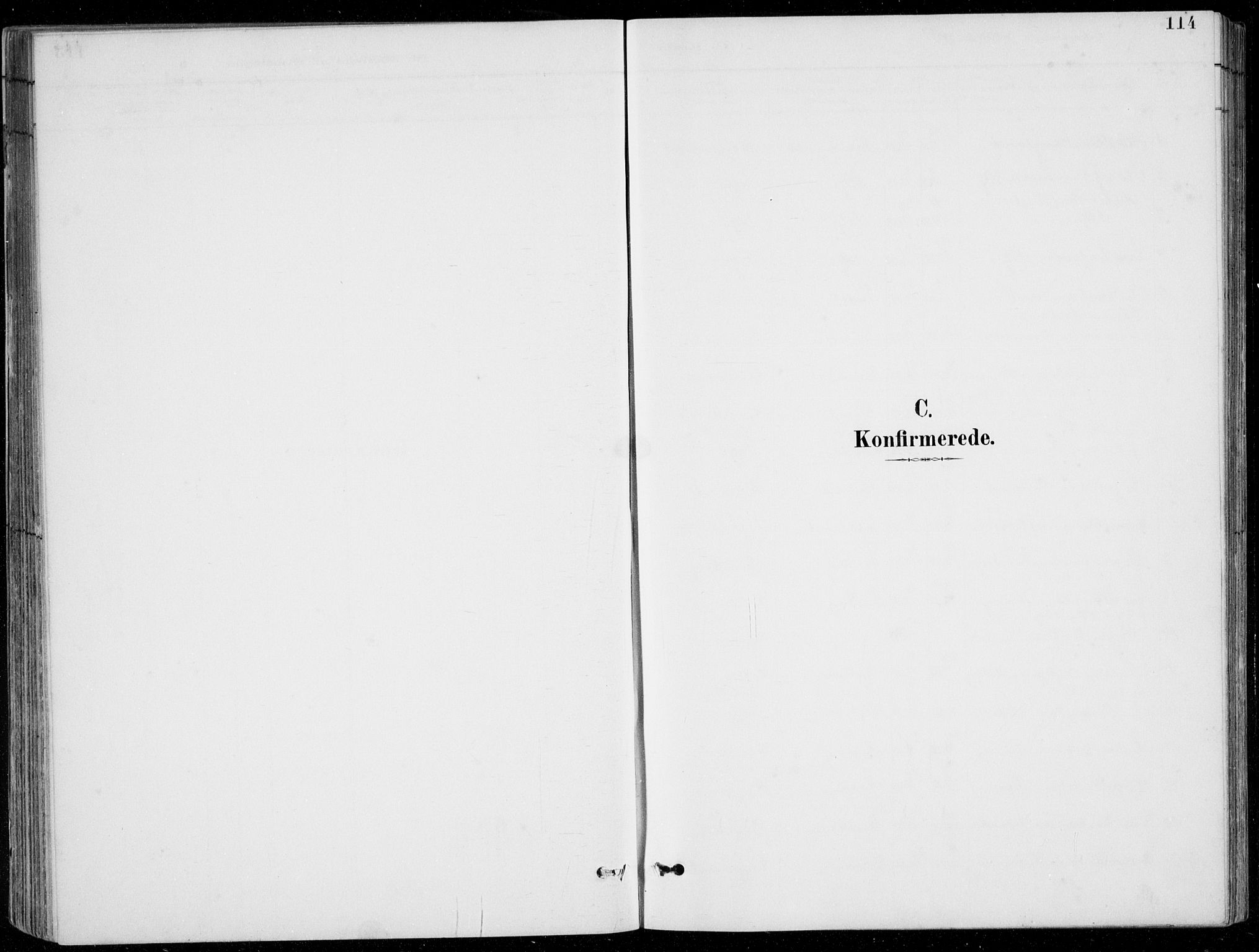 Fitjar sokneprestembete, SAB/A-99926: Klokkerbok nr. A 2, 1887-1906, s. 114