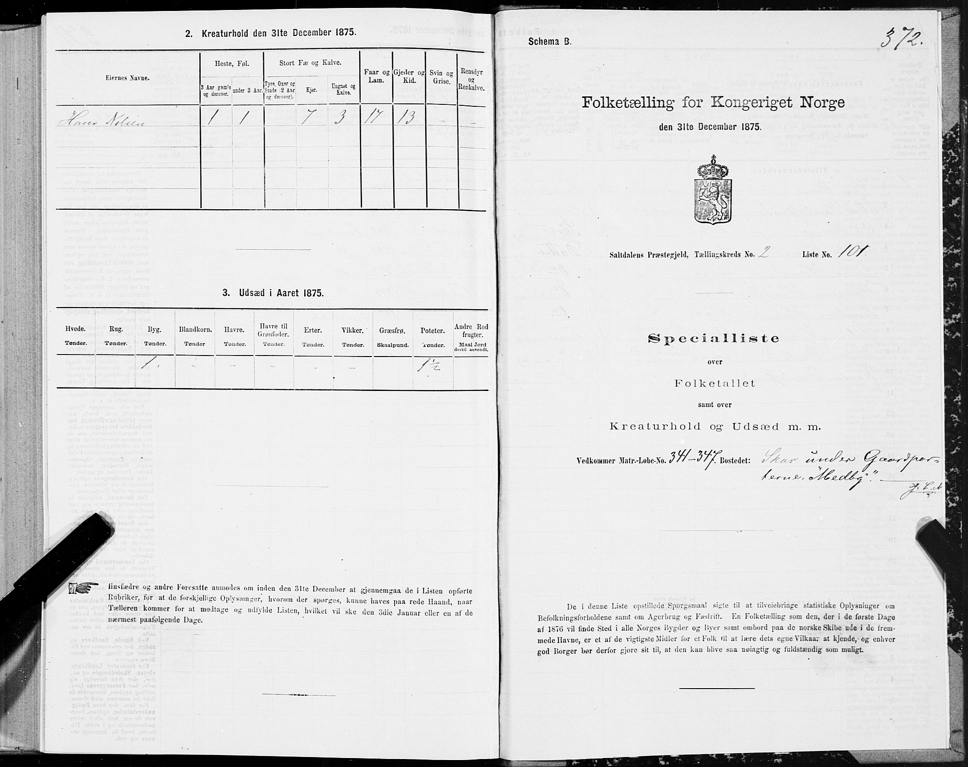 SAT, Folketelling 1875 for 1840P Saltdal prestegjeld, 1875, s. 1372