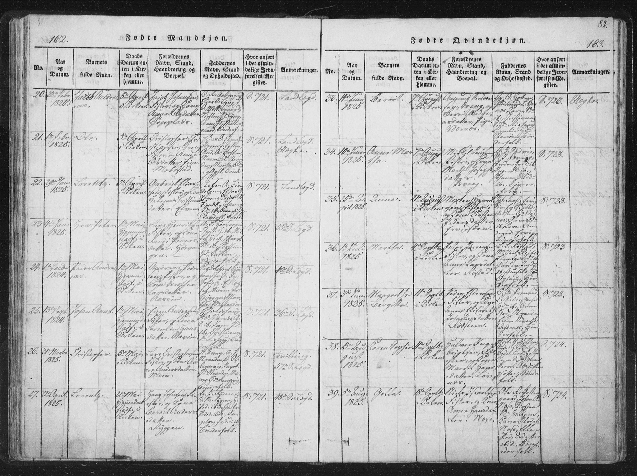 Ministerialprotokoller, klokkerbøker og fødselsregistre - Sør-Trøndelag, SAT/A-1456/659/L0734: Ministerialbok nr. 659A04, 1818-1825, s. 162-163