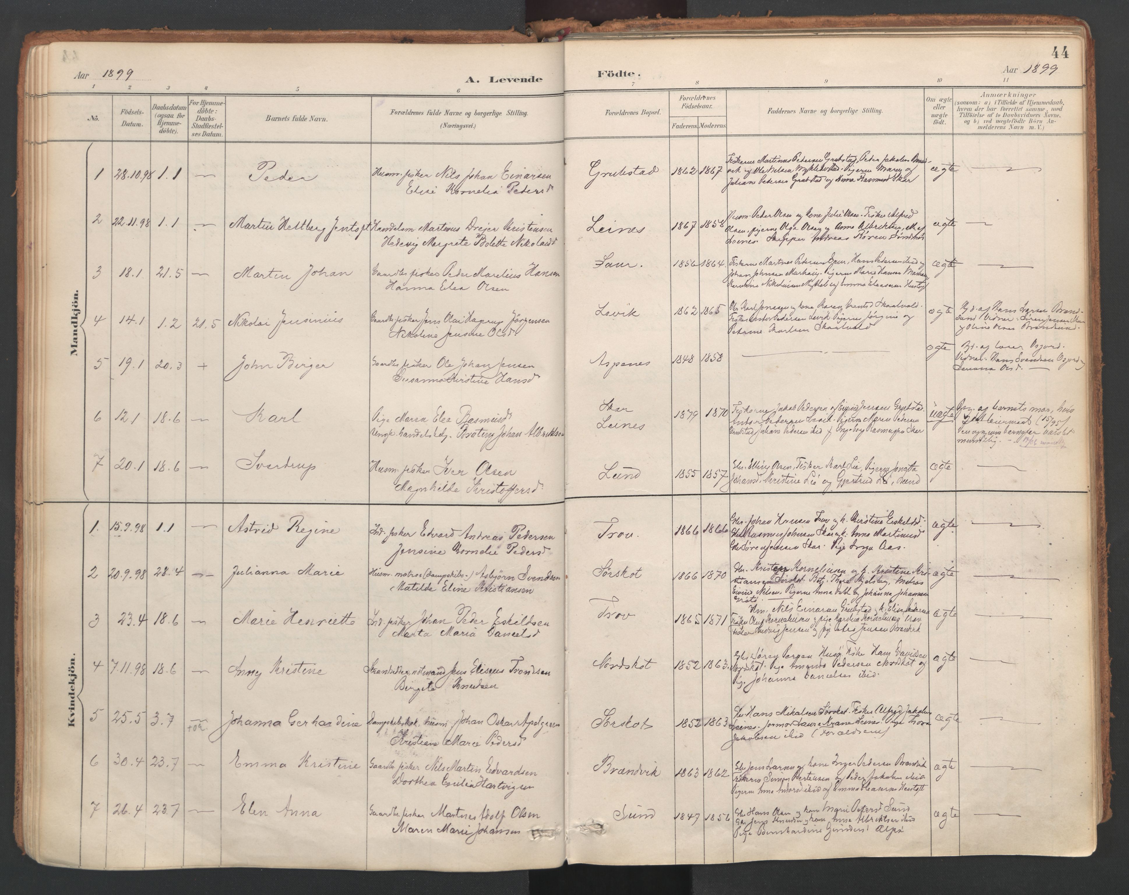 Ministerialprotokoller, klokkerbøker og fødselsregistre - Nordland, AV/SAT-A-1459/857/L0822: Ministerialbok nr. 857A02, 1890-1917, s. 44