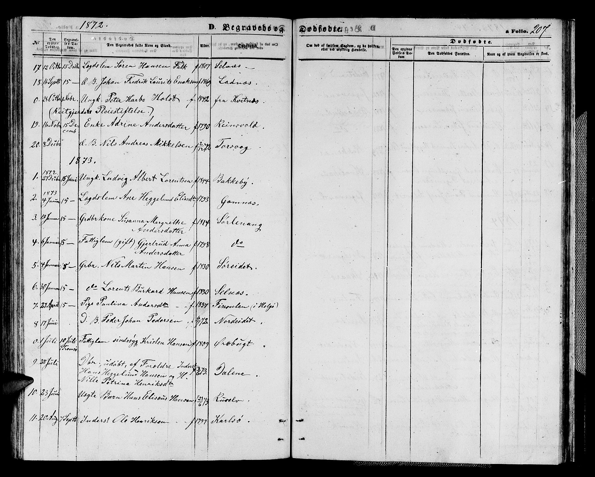 Karlsøy sokneprestembete, AV/SATØ-S-1299/H/Ha/Hab/L0003klokker: Klokkerbok nr. 3, 1862-1877, s. 207