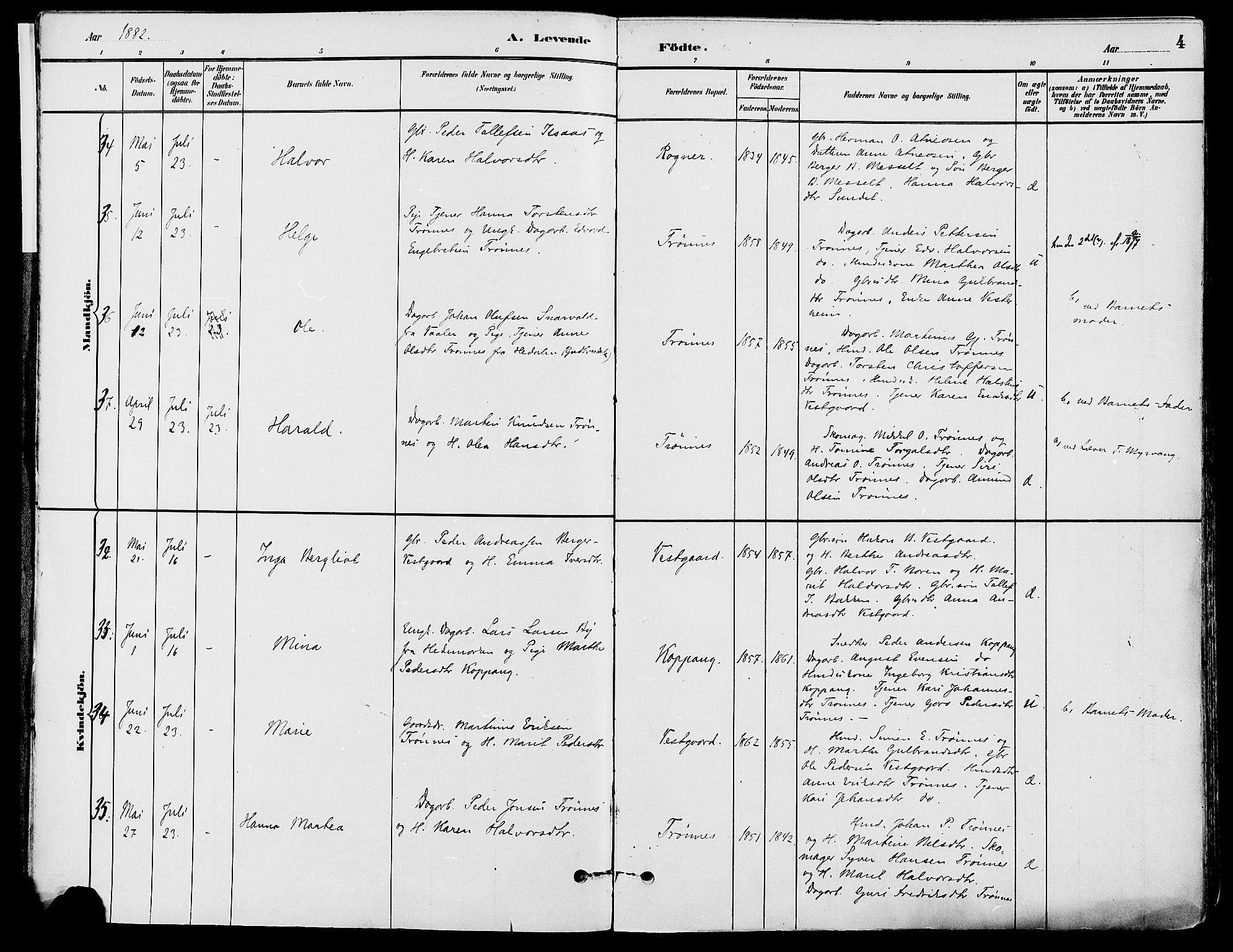 Stor-Elvdal prestekontor, AV/SAH-PREST-052/H/Ha/Haa/L0002: Ministerialbok nr. 2, 1882-1907, s. 4