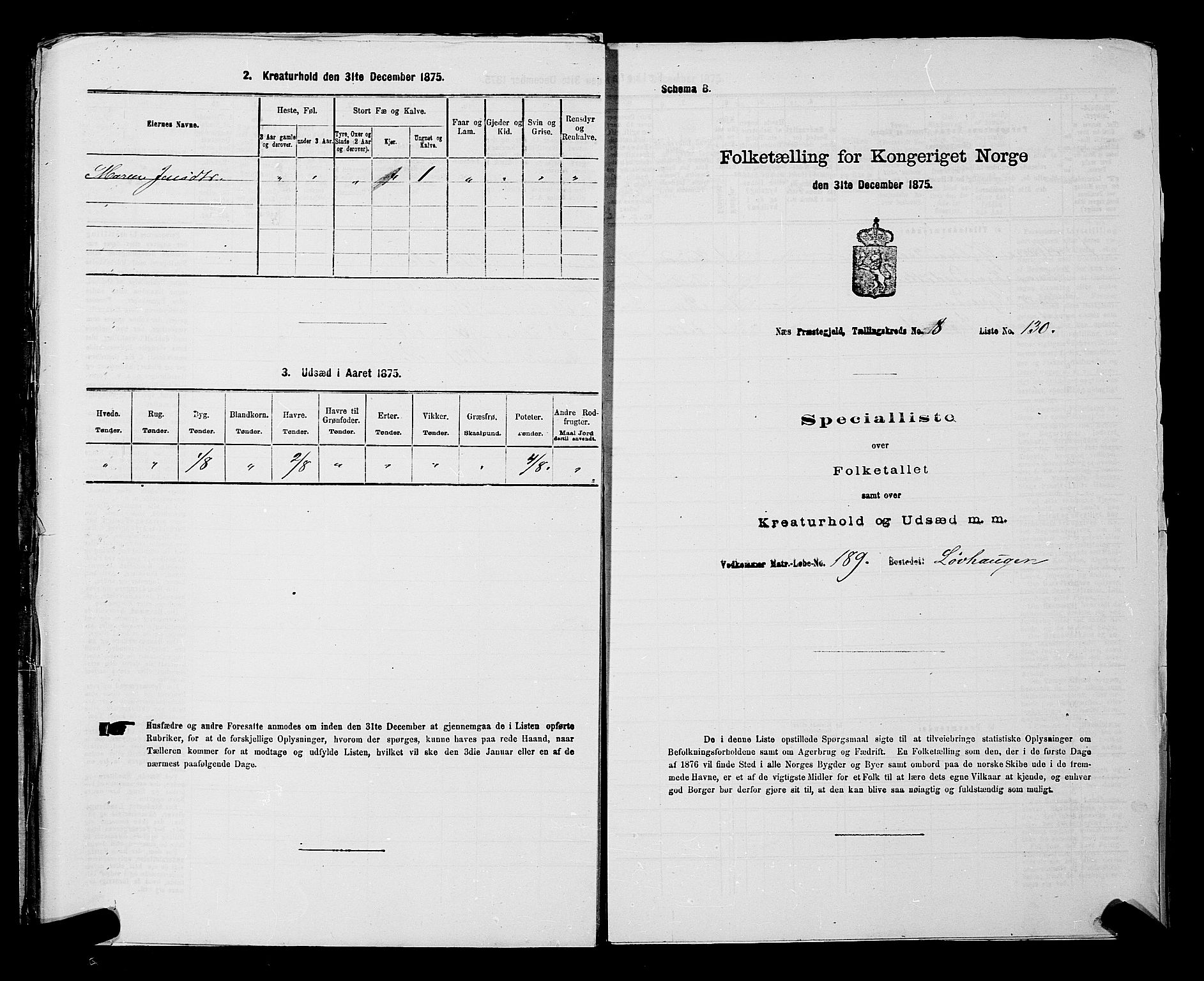 RA, Folketelling 1875 for 0236P Nes prestegjeld, 1875, s. 1491