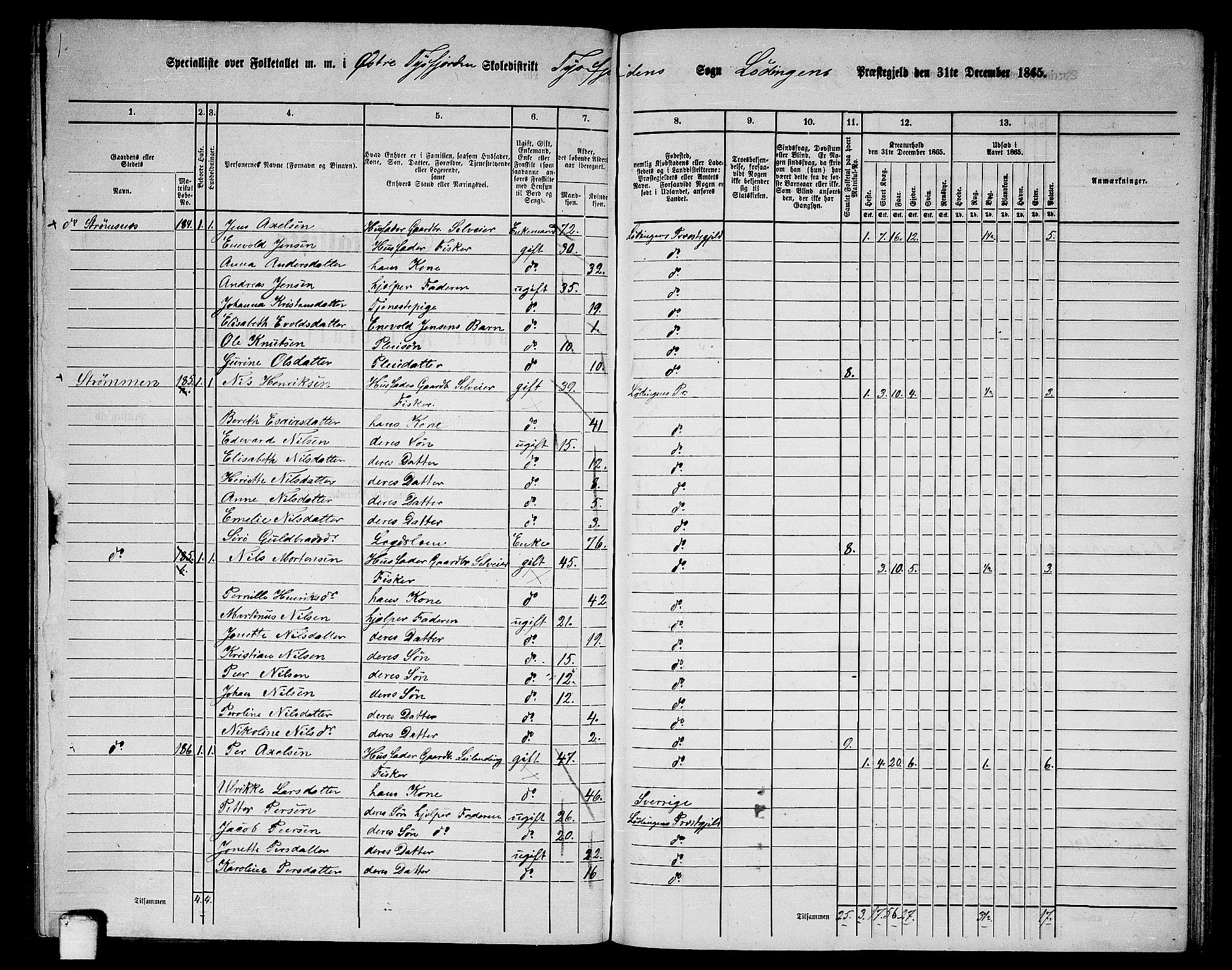 RA, Folketelling 1865 for 1851P Lødingen prestegjeld, 1865, s. 119