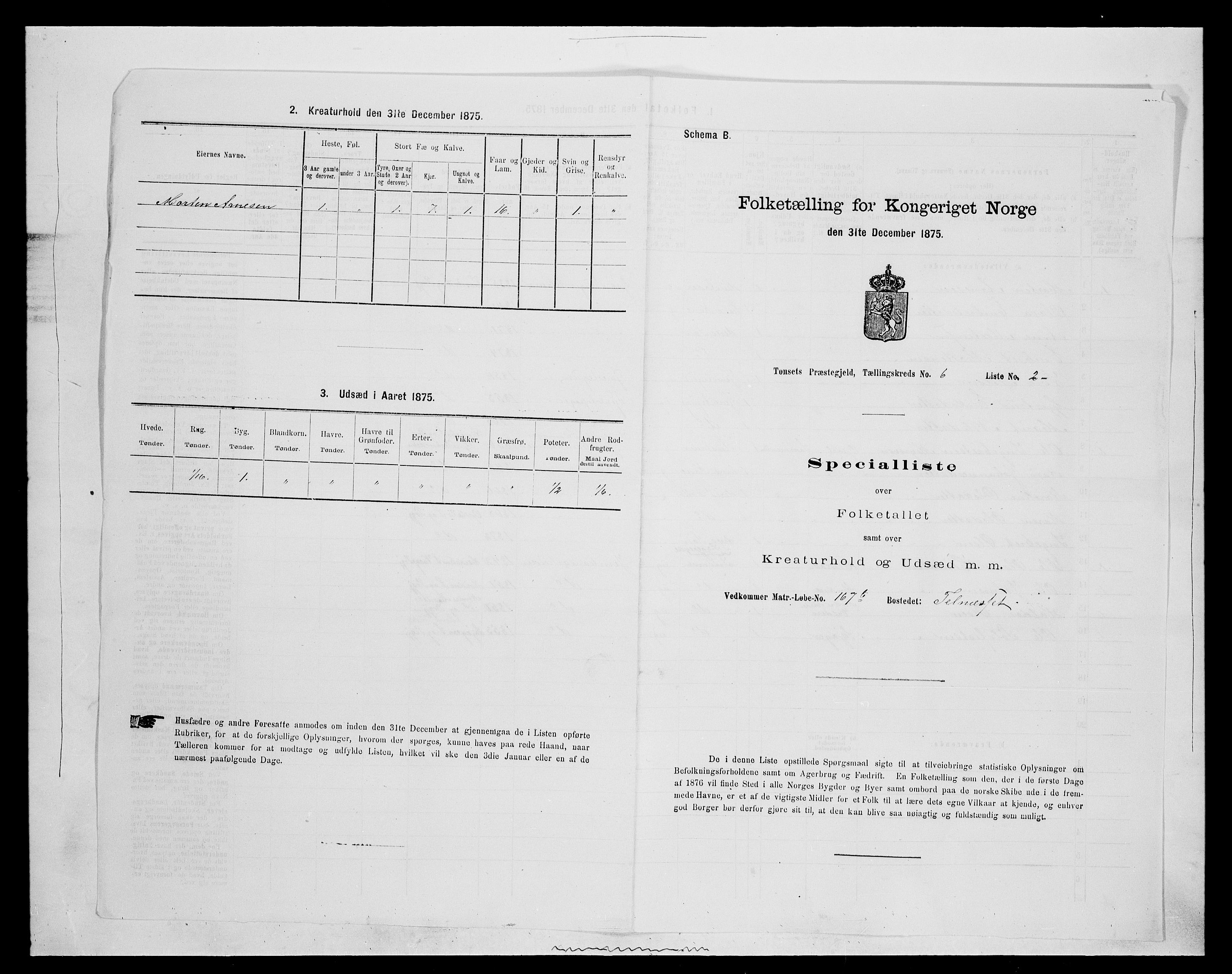 SAH, Folketelling 1875 for 0437P Tynset prestegjeld, 1875, s. 694