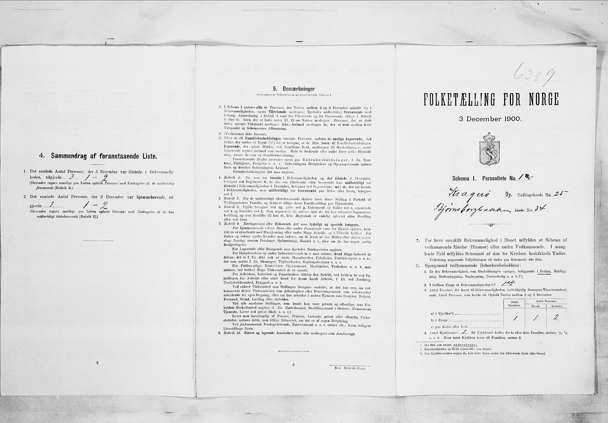 SAKO, Folketelling 1900 for 0801 Kragerø kjøpstad, 1900, s. 3121