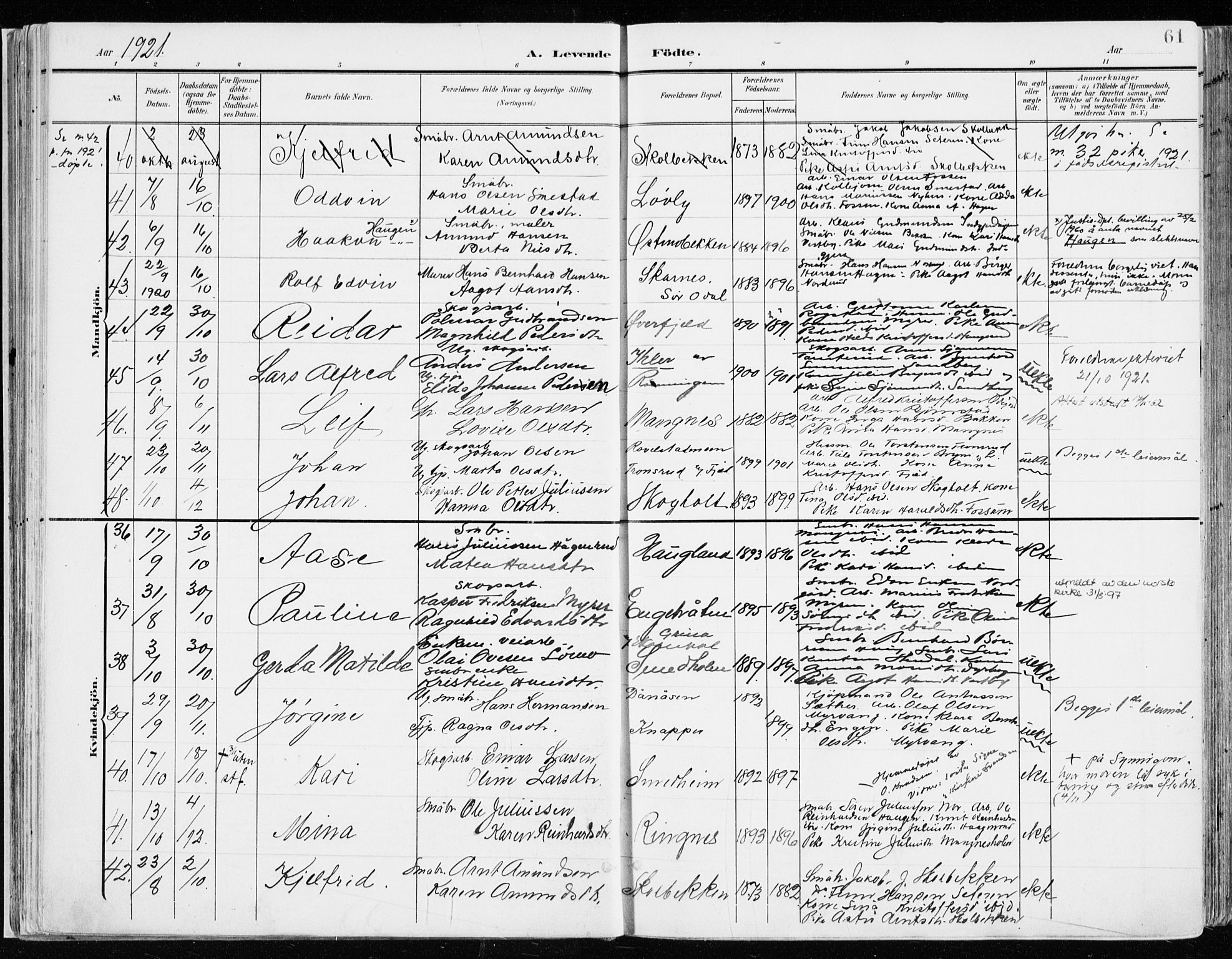 Nord-Odal prestekontor, SAH/PREST-032/H/Ha/Haa/L0009: Ministerialbok nr. 9, 1902-1926, s. 61