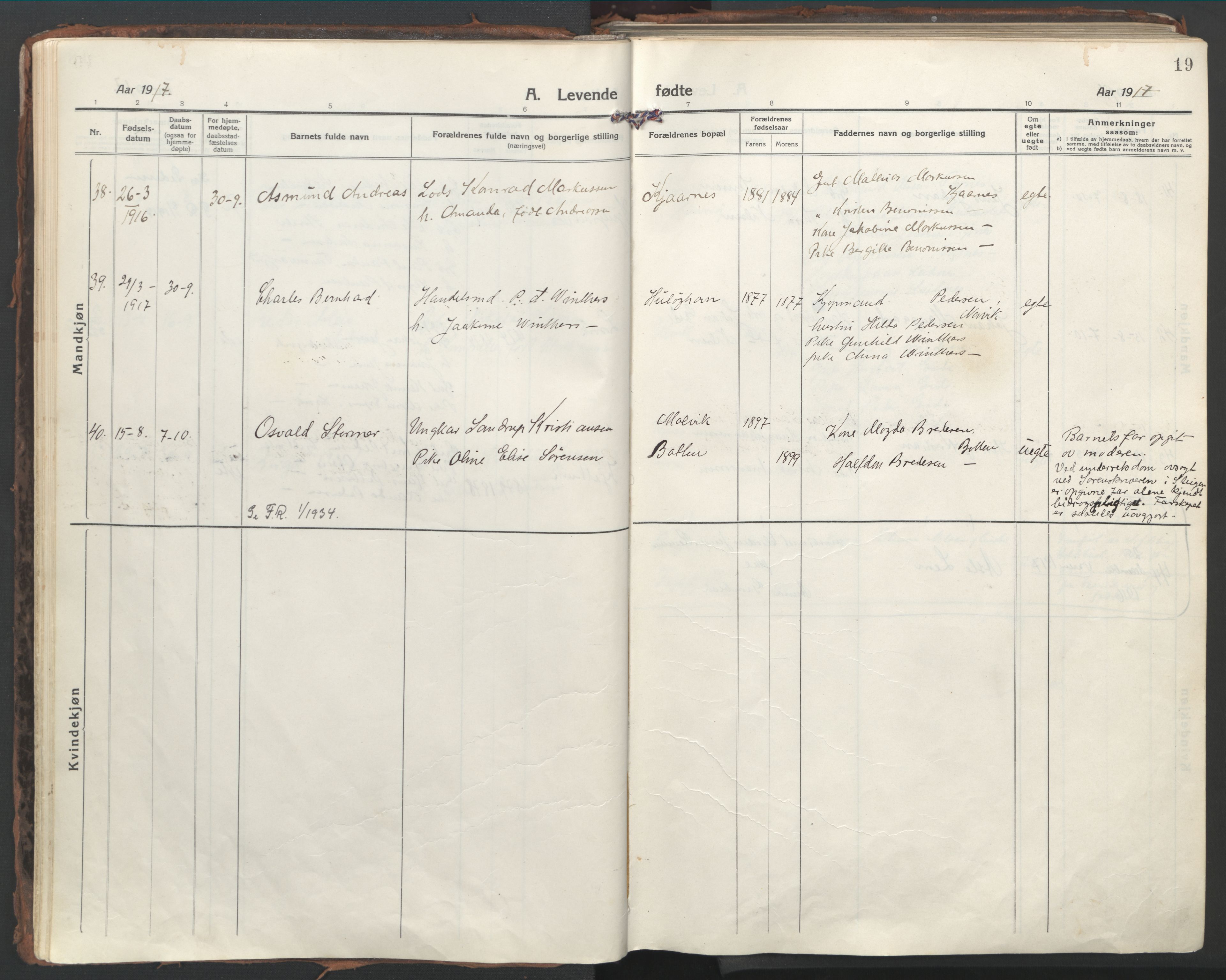 Ministerialprotokoller, klokkerbøker og fødselsregistre - Nordland, AV/SAT-A-1459/861/L0872: Ministerialbok nr. 861A07, 1915-1924, s. 19