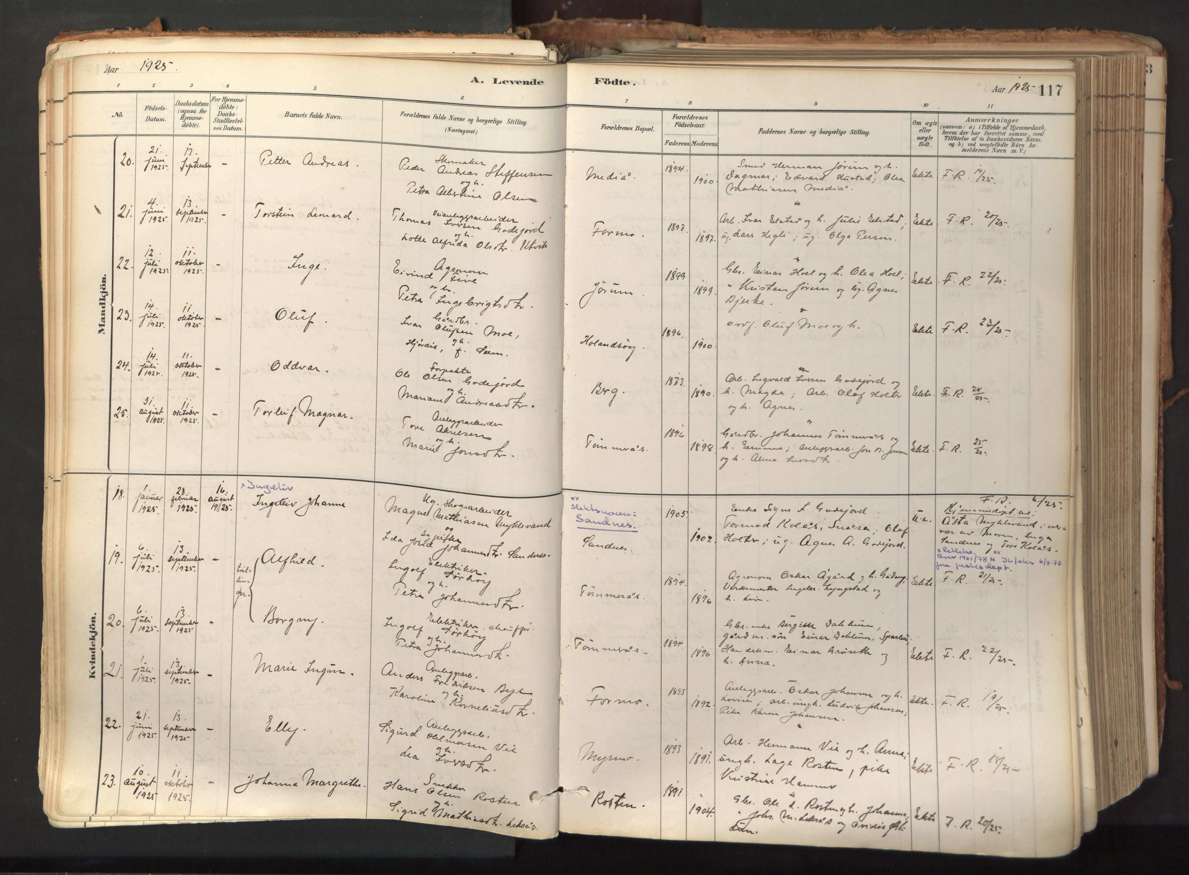 Ministerialprotokoller, klokkerbøker og fødselsregistre - Nord-Trøndelag, AV/SAT-A-1458/758/L0519: Ministerialbok nr. 758A04, 1880-1926, s. 117