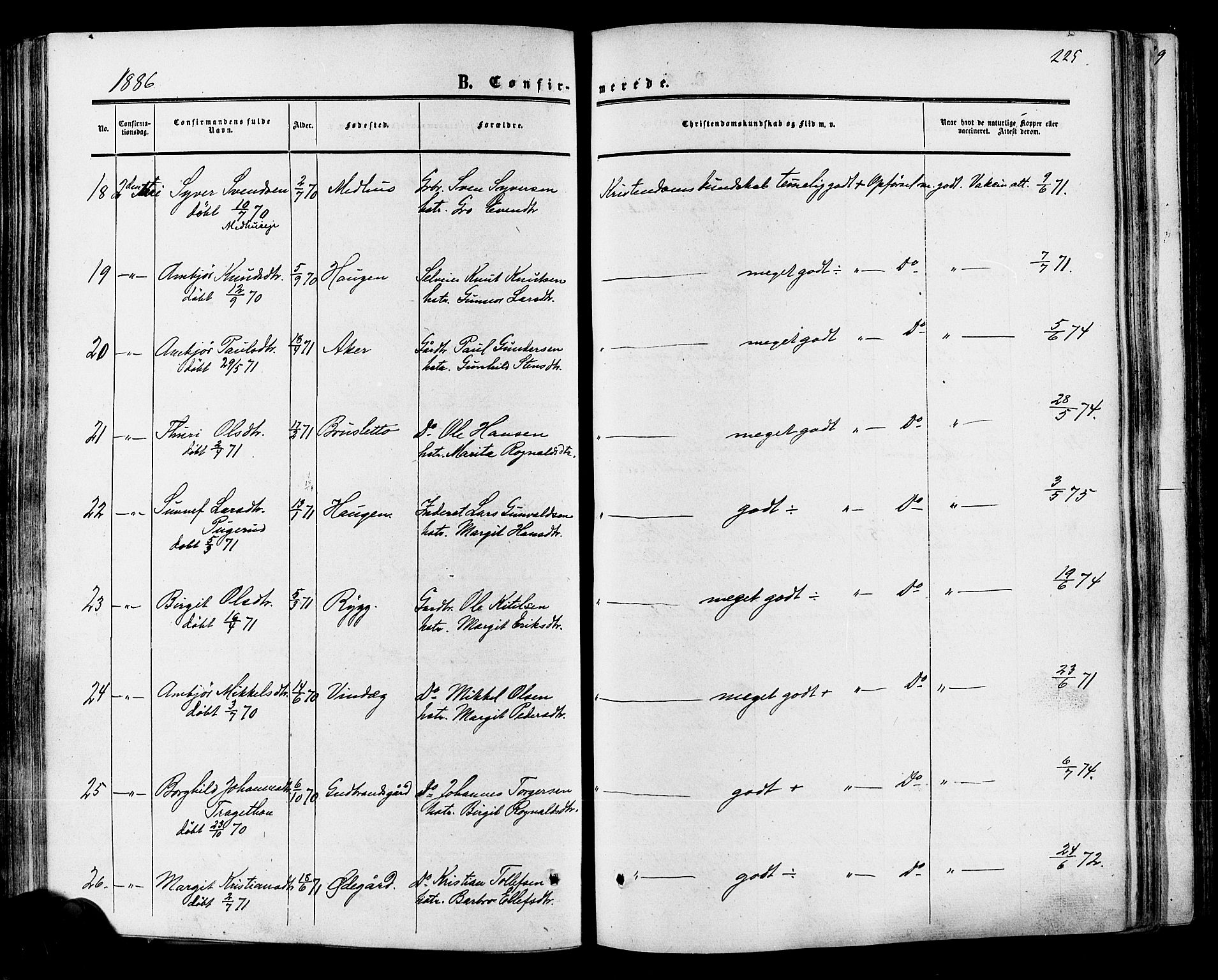 Hol kirkebøker, SAKO/A-227/F/Fa/L0002: Ministerialbok nr. I 2, 1870-1886, s. 225