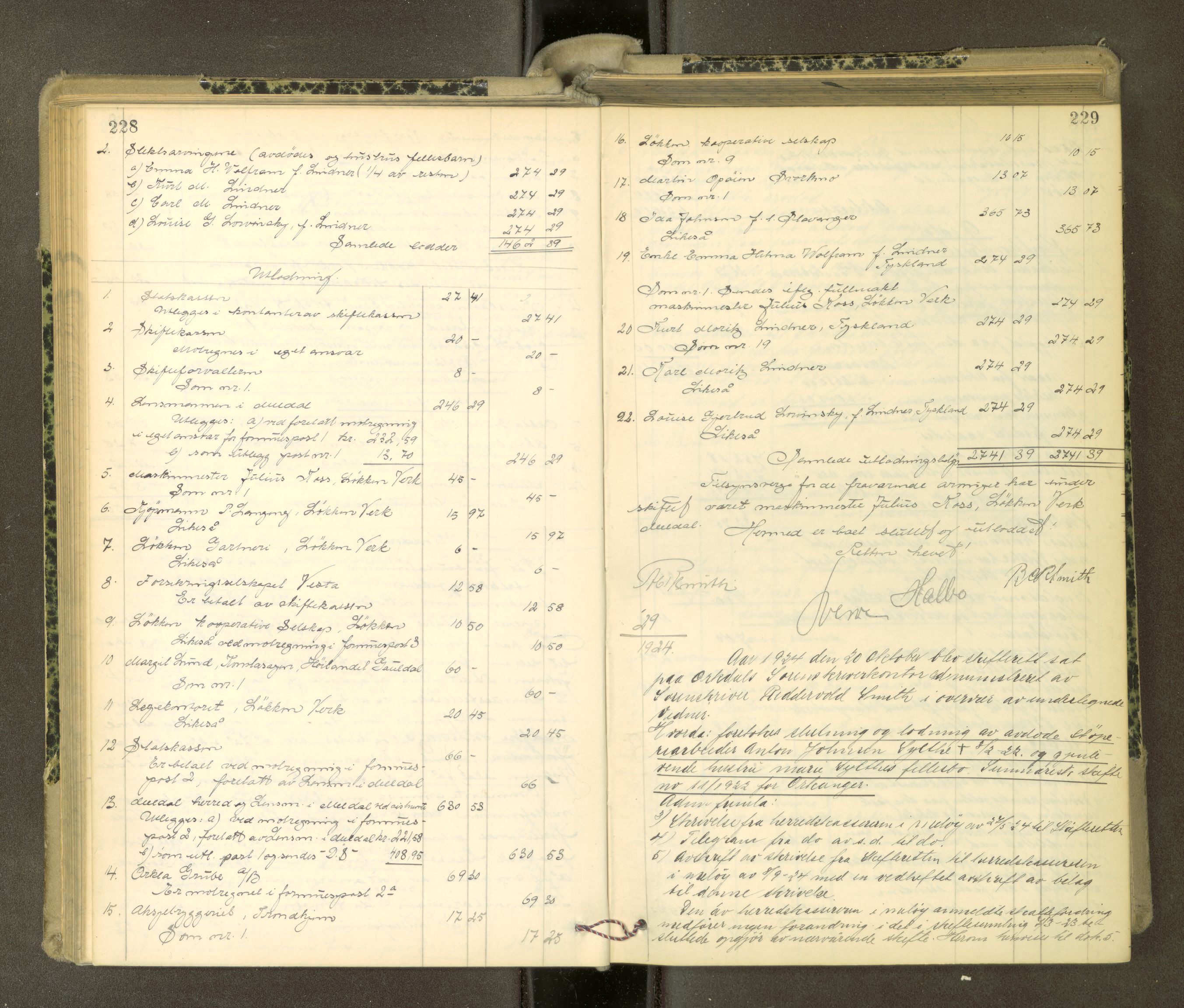 Orkdal sorenskriveri, AV/SAT-A-4169/1/3/3Aa/L0017: Skifteprotokoller, 1921-1929, s. 228-229