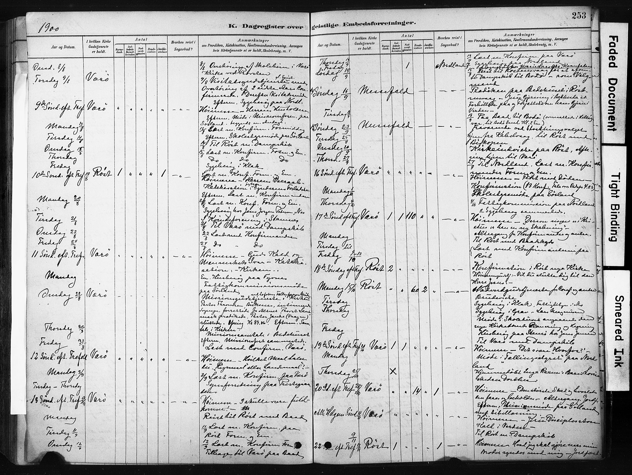 Ministerialprotokoller, klokkerbøker og fødselsregistre - Nordland, AV/SAT-A-1459/808/L0128: Ministerialbok nr. 808A01, 1880-1902, s. 253