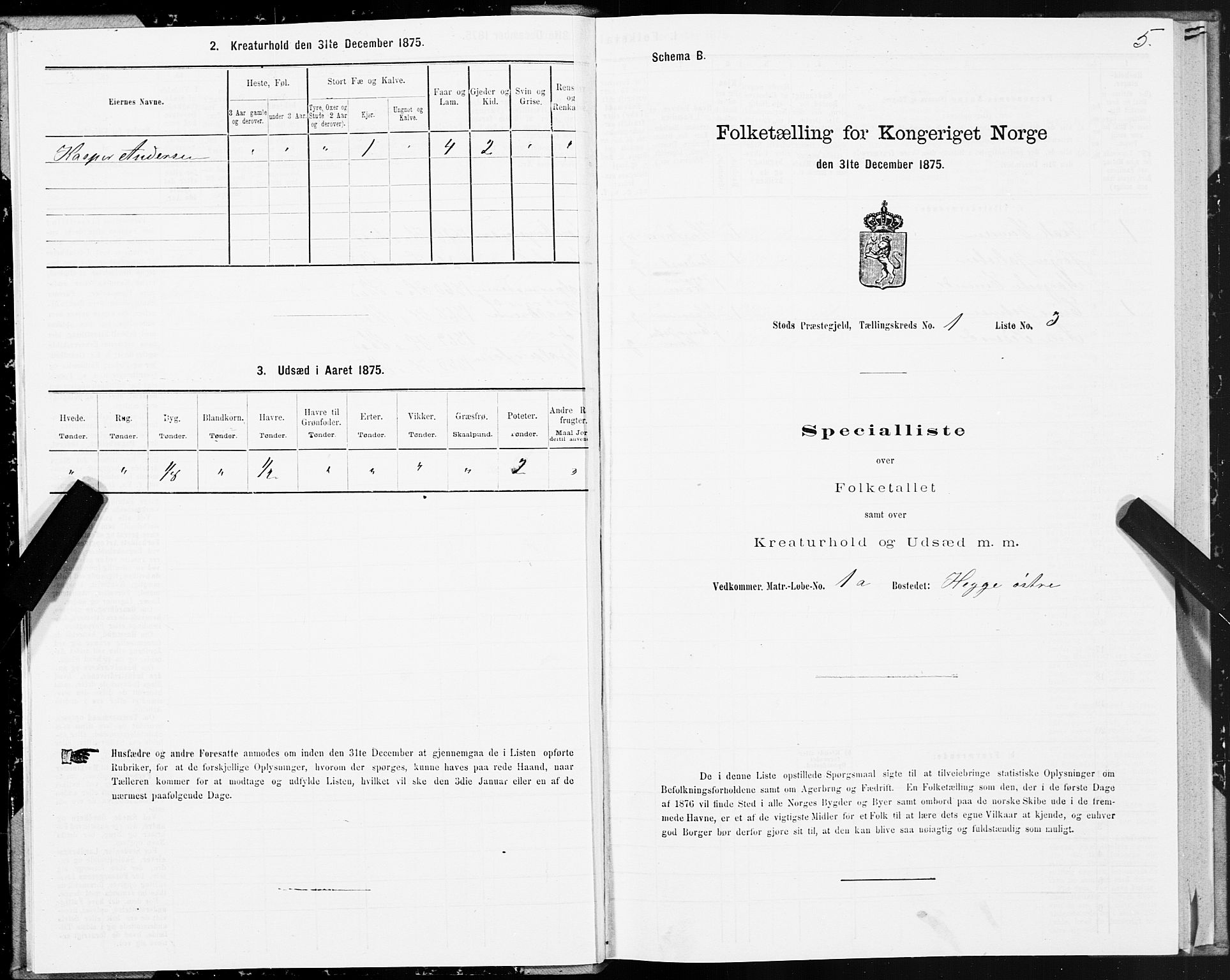 SAT, Folketelling 1875 for 1734P Stod prestegjeld, 1875, s. 1005