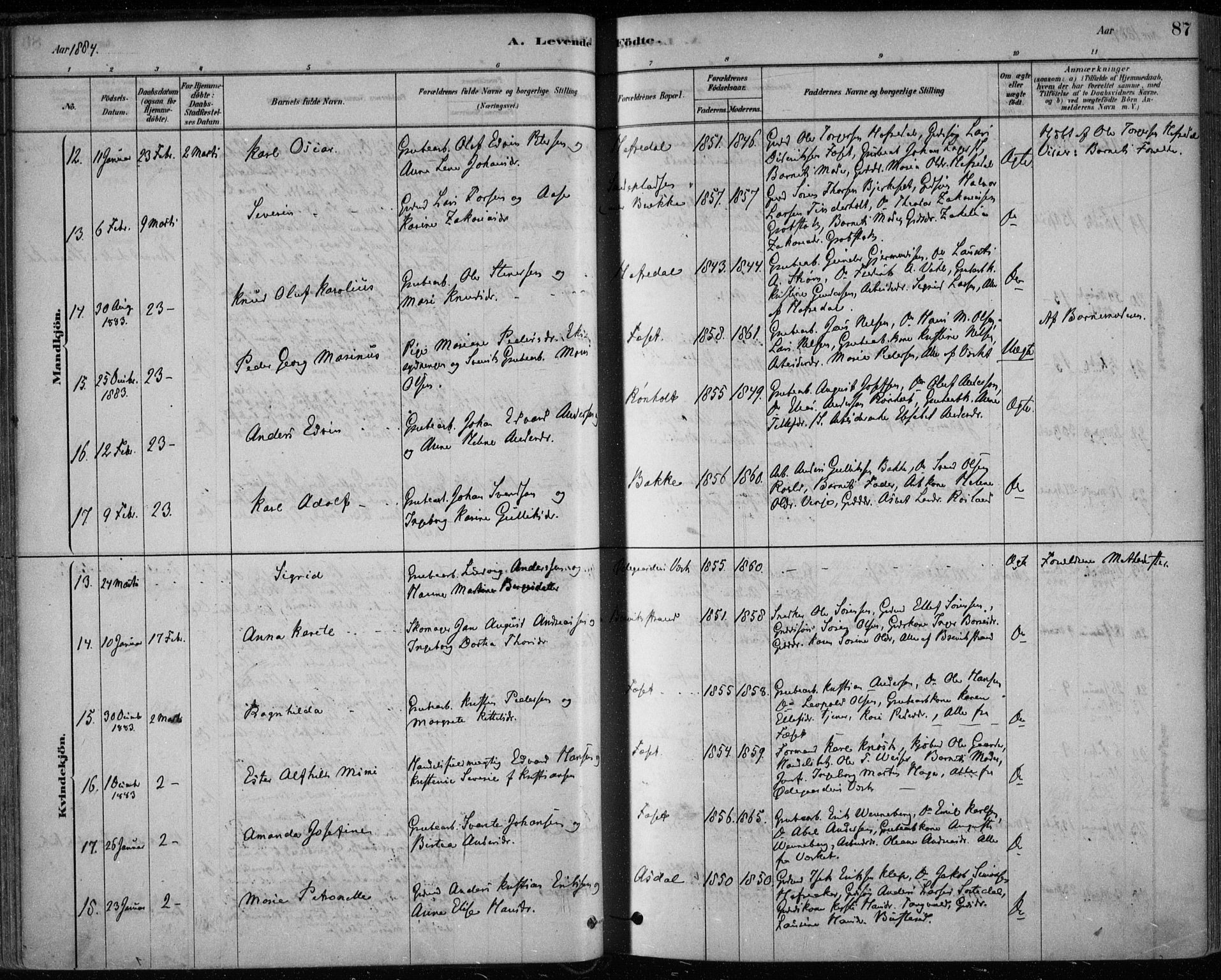 Bamble kirkebøker, AV/SAKO-A-253/F/Fa/L0007: Ministerialbok nr. I 7, 1878-1888, s. 87