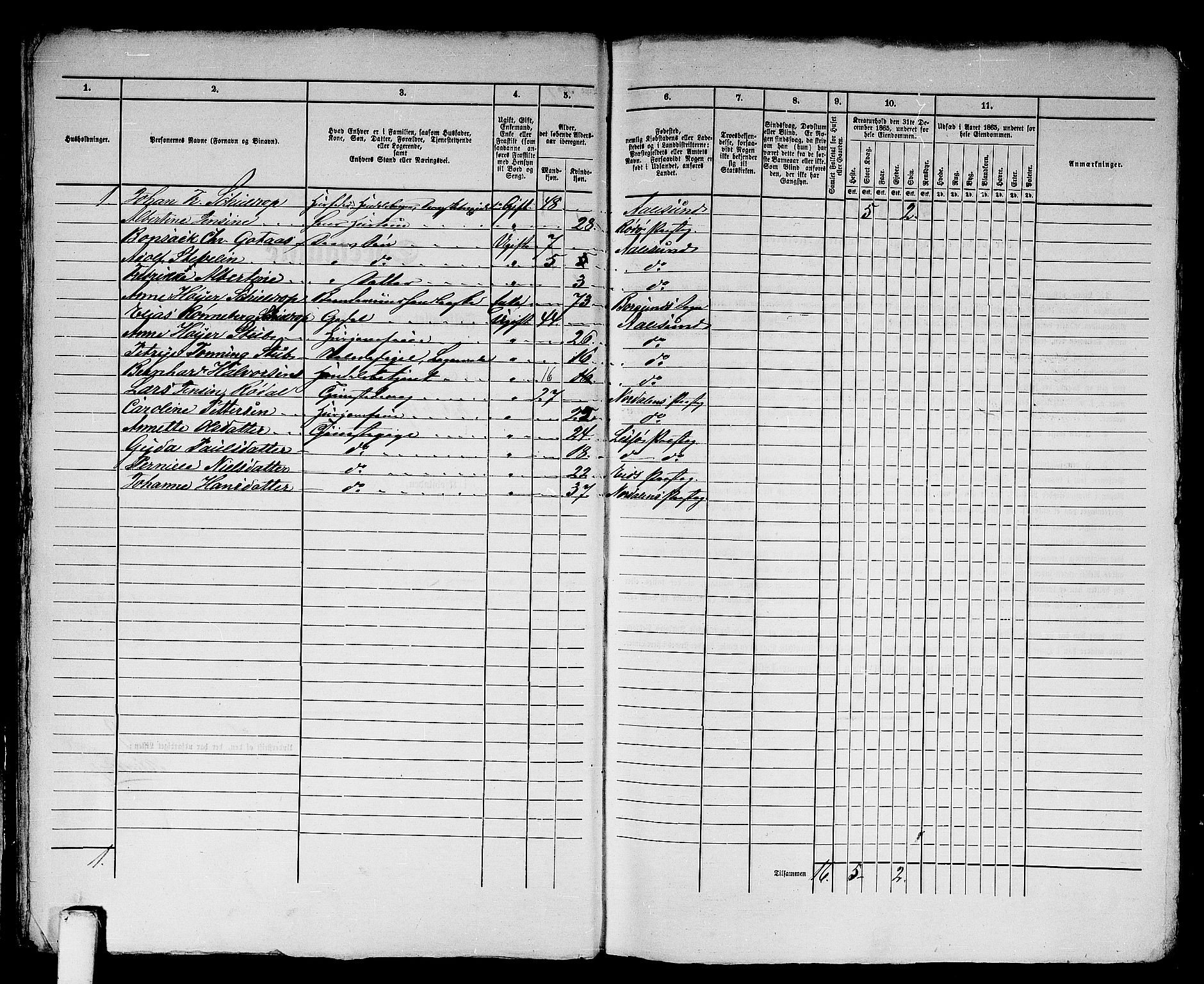 RA, Folketelling 1865 for 1501P Ålesund prestegjeld, 1865, s. 25