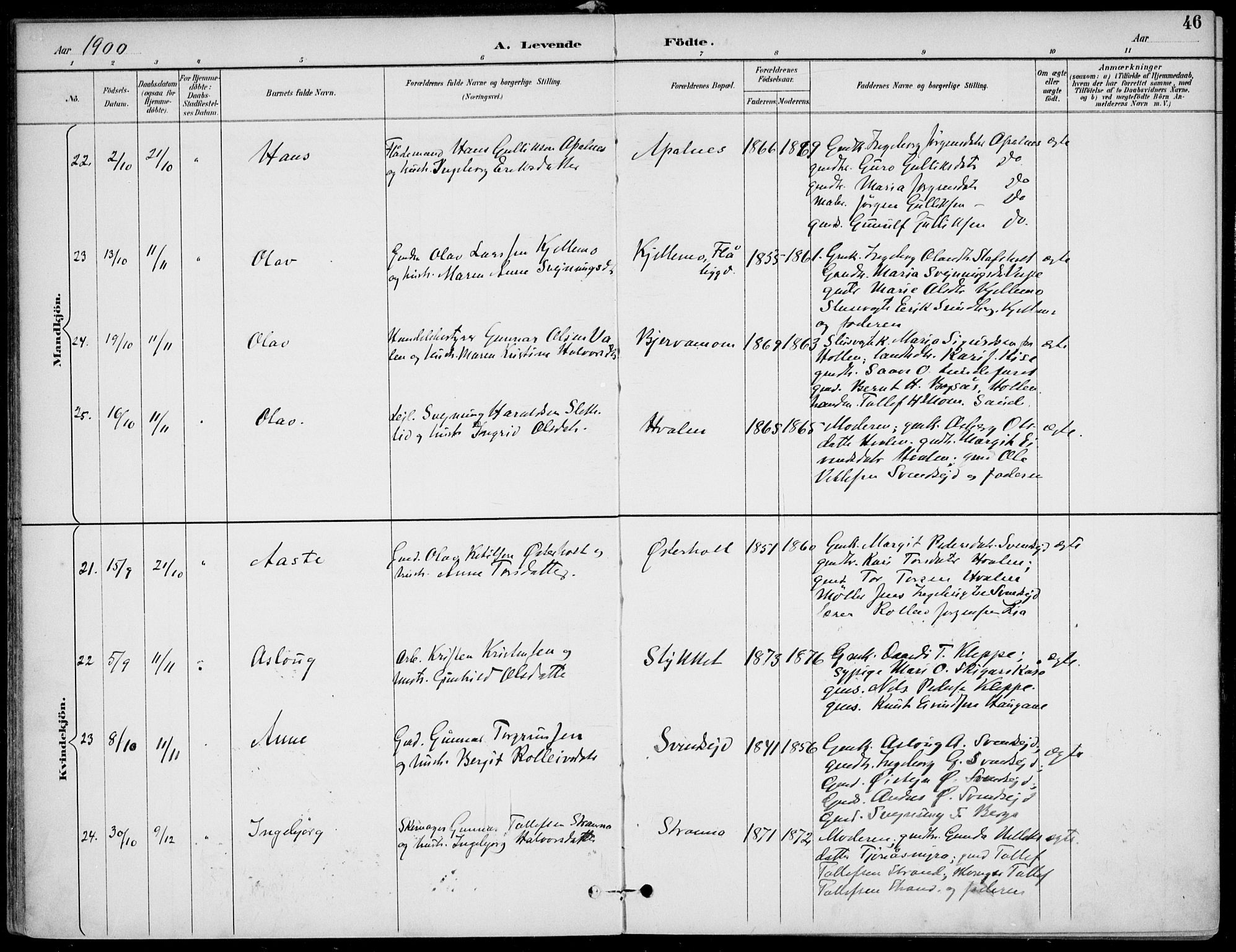 Lunde kirkebøker, AV/SAKO-A-282/F/Fa/L0003: Ministerialbok nr. I 3, 1893-1902, s. 46