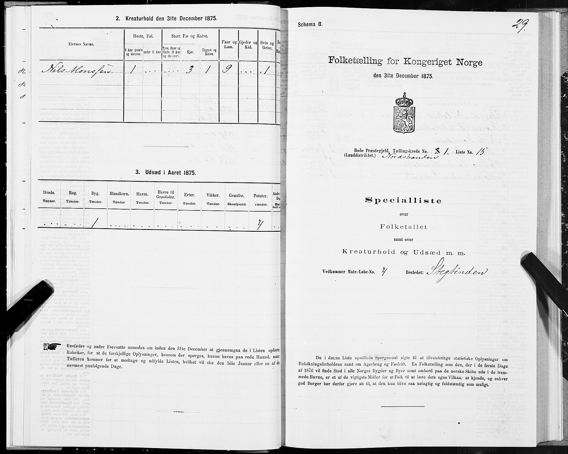 SAT, Folketelling 1875 for 1843L Bodø prestegjeld, Bodø landsokn, 1875, s. 1029