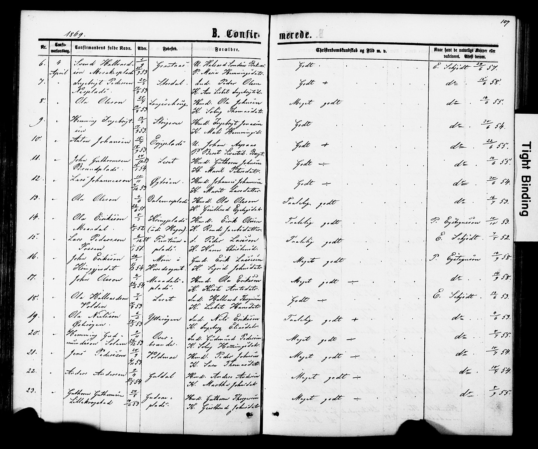 Ministerialprotokoller, klokkerbøker og fødselsregistre - Nord-Trøndelag, AV/SAT-A-1458/706/L0049: Klokkerbok nr. 706C01, 1864-1895, s. 107