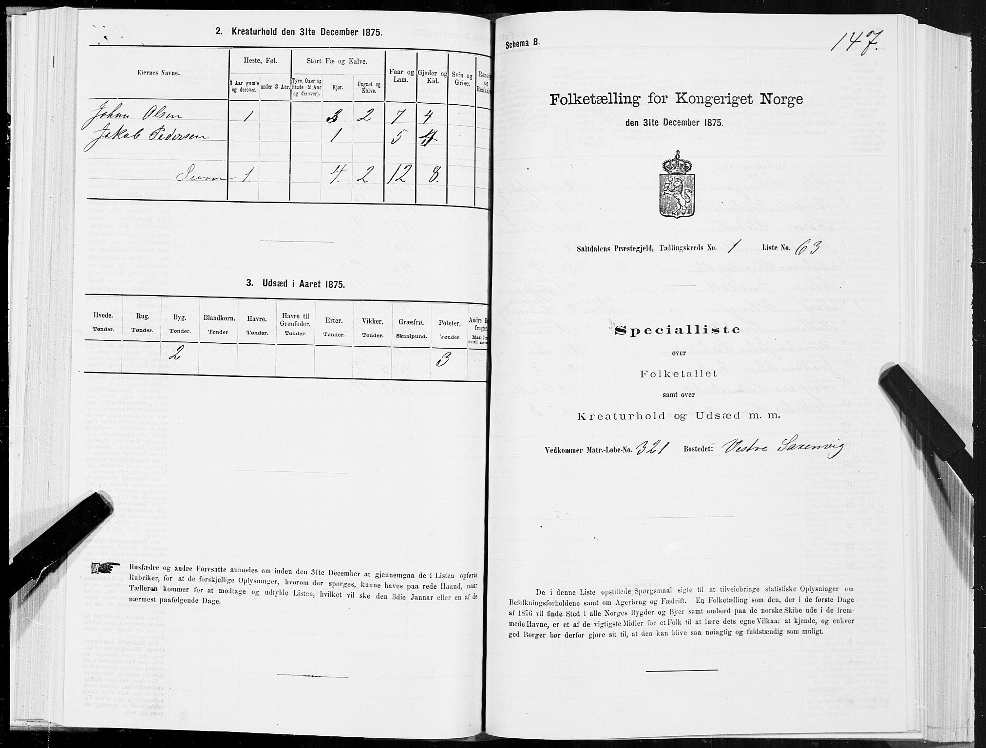 SAT, Folketelling 1875 for 1840P Saltdal prestegjeld, 1875, s. 1147