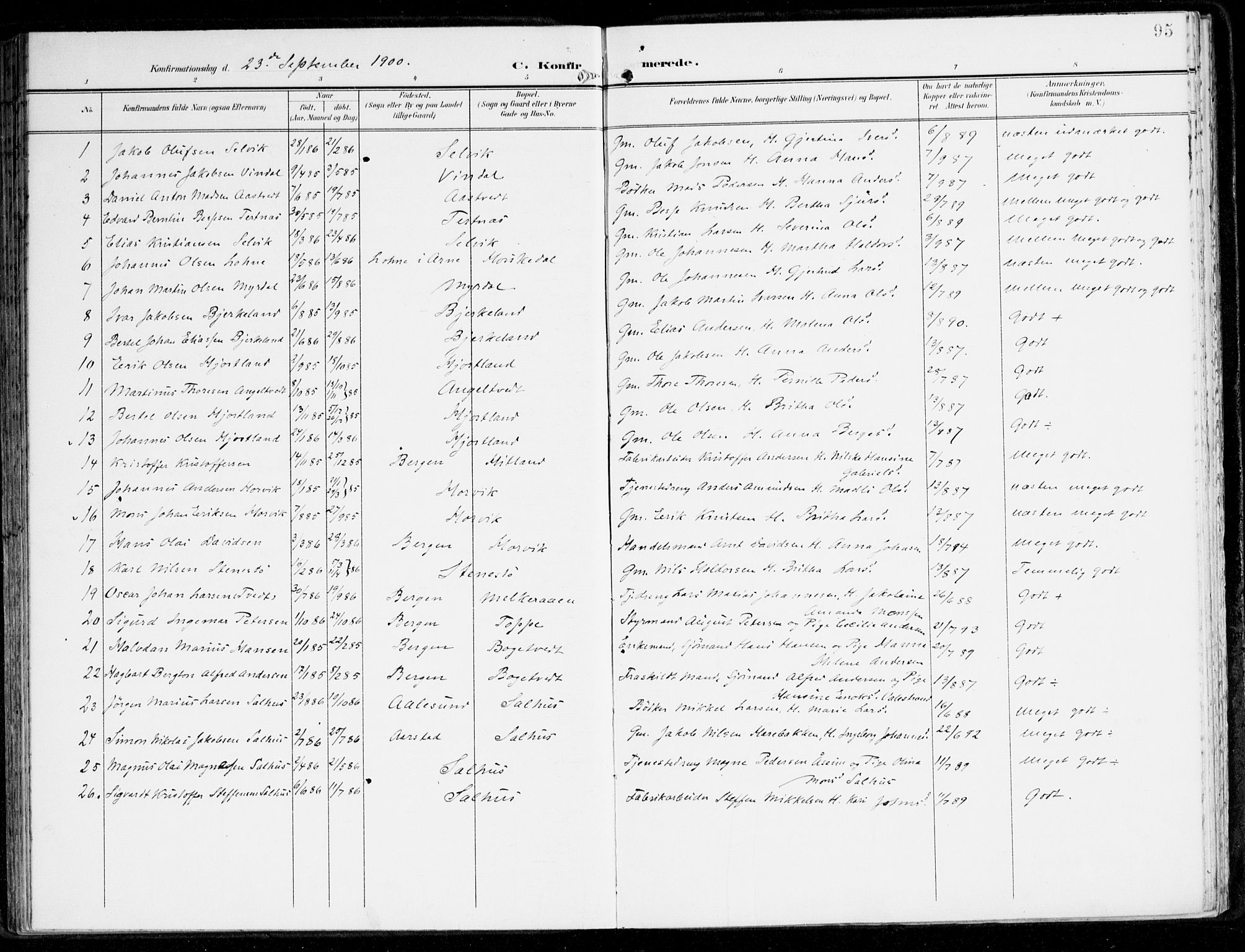 Hamre sokneprestembete, AV/SAB-A-75501/H/Ha/Haa/Haad/L0002: Ministerialbok nr. D 2, 1899-1916, s. 95
