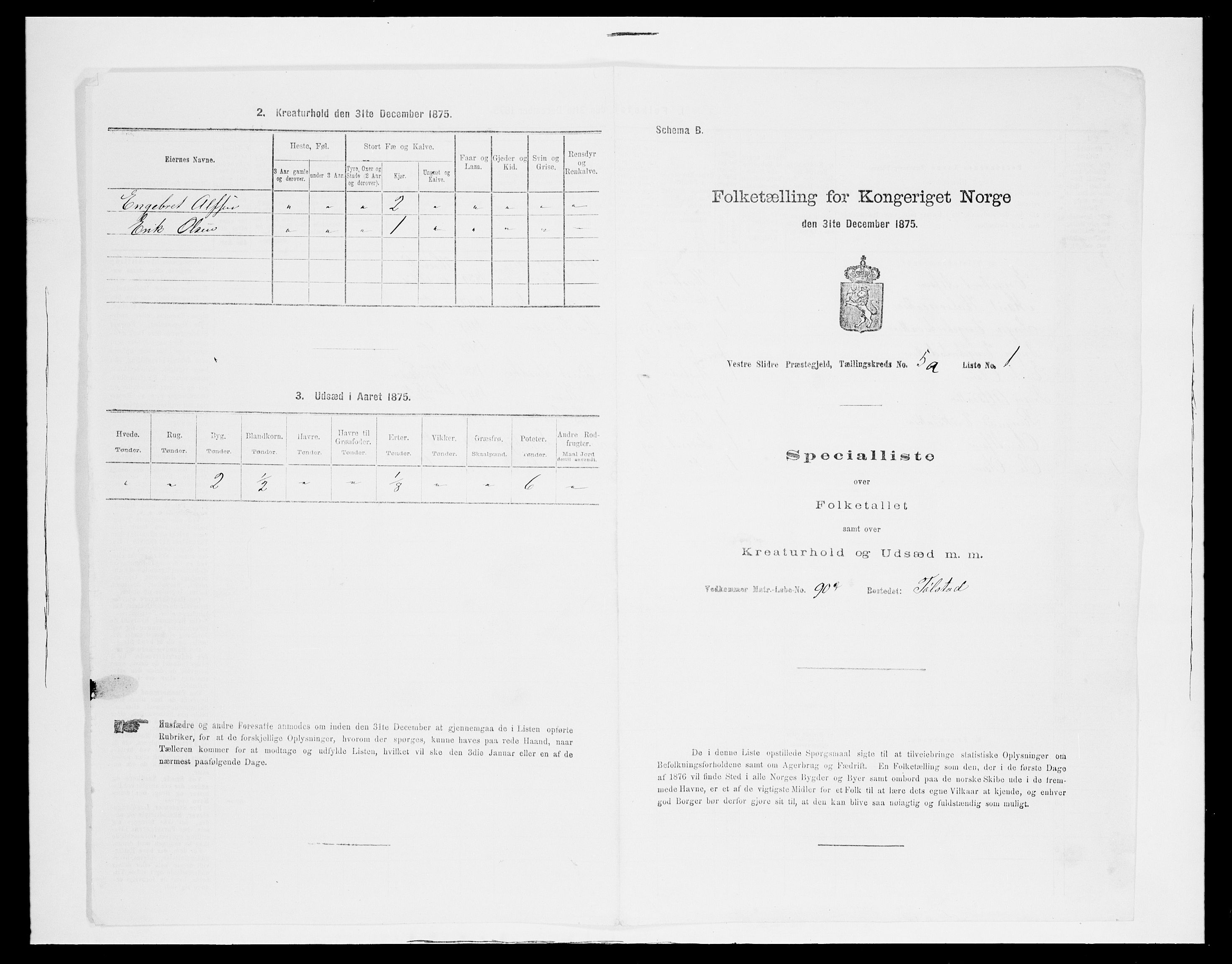 SAH, Folketelling 1875 for 0543P Vestre Slidre prestegjeld, 1875, s. 539