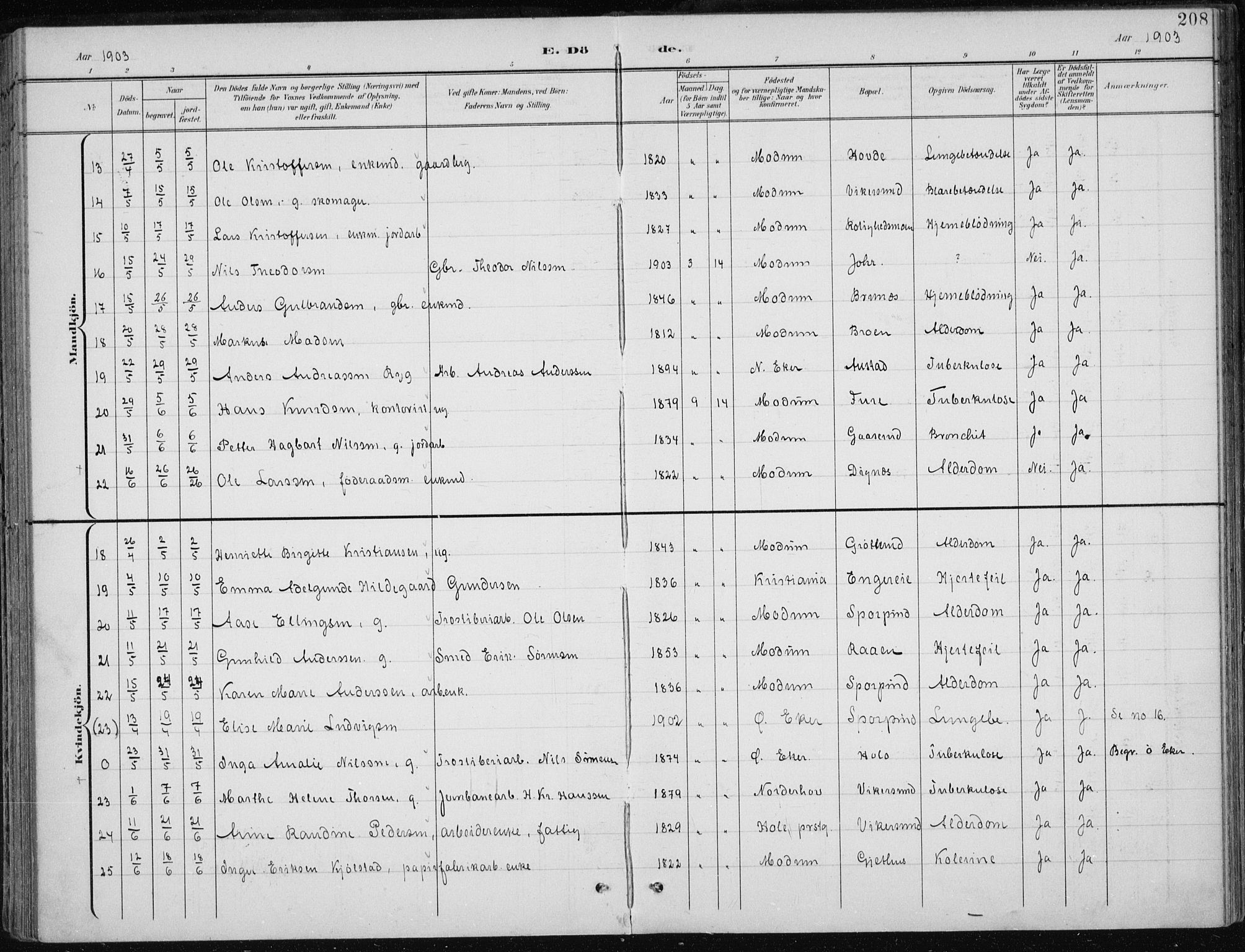 Modum kirkebøker, SAKO/A-234/F/Fa/L0013: Ministerialbok nr. 13, 1899-1907, s. 208